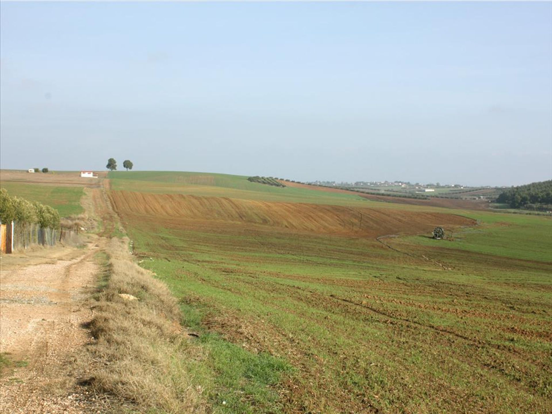 Tanah di Nea Poteidaia, Kentriki Makedonia 11513453