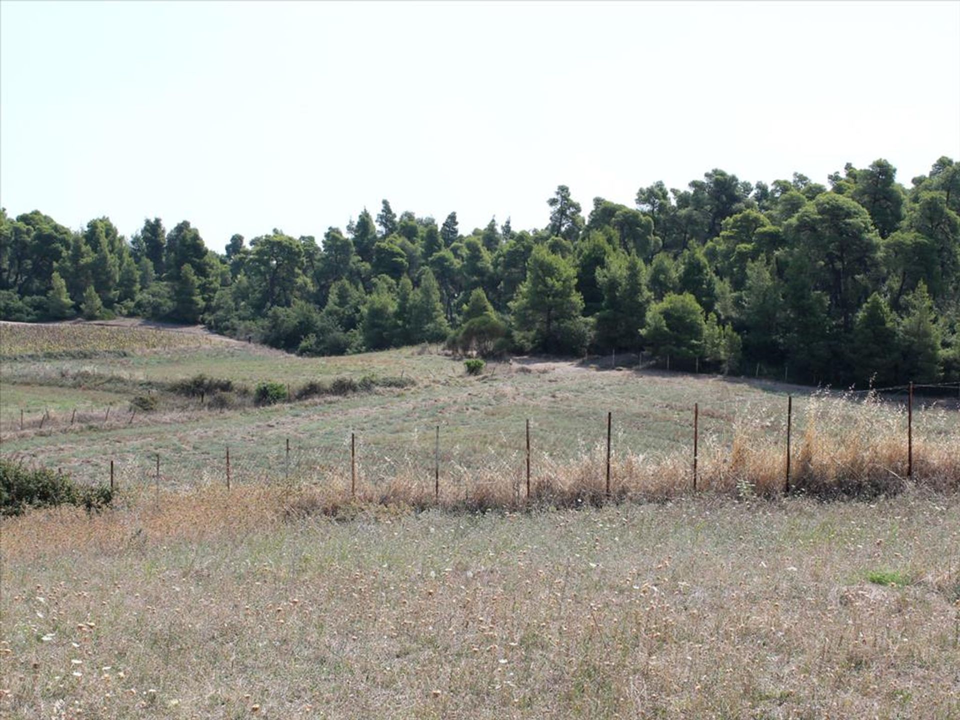 Tierra en Nea Potéidaia, Kentriki Macedonia 11513476