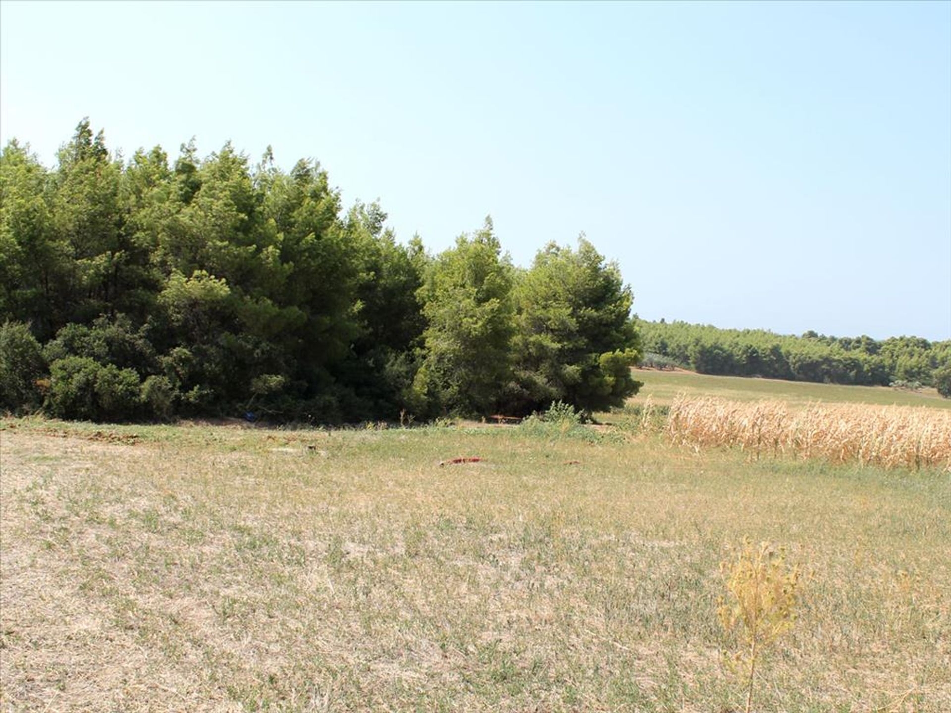 Land in Nea Poteidaia, Kentriki Makedonia 11513477