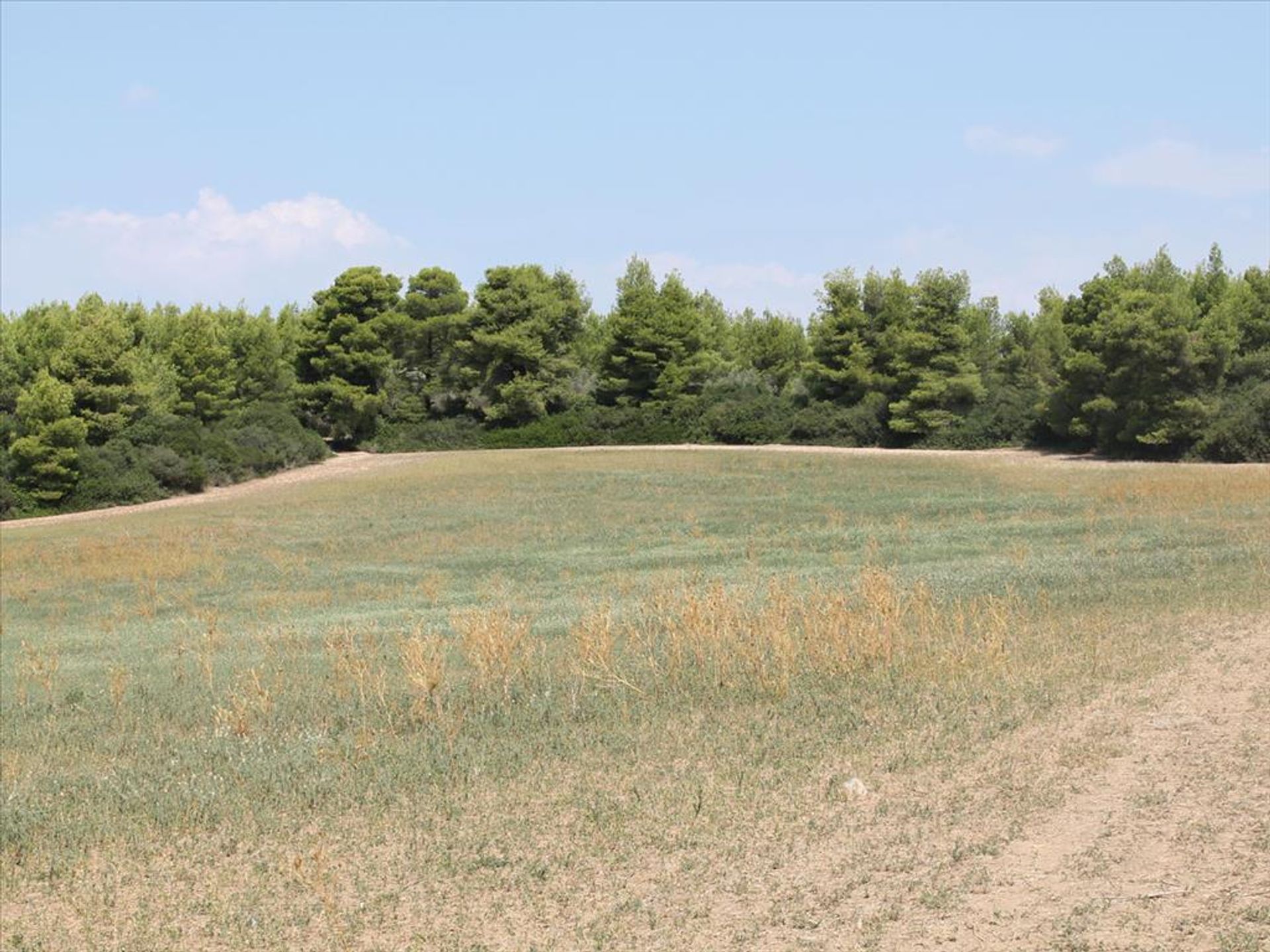 Land in Nea Poteidaia, Kentriki Makedonia 11513477