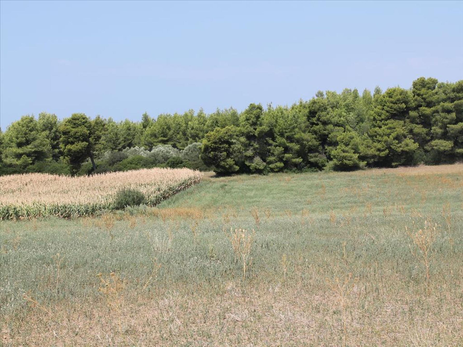 Land in Nea Poteidaia, Kentriki Makedonia 11513477