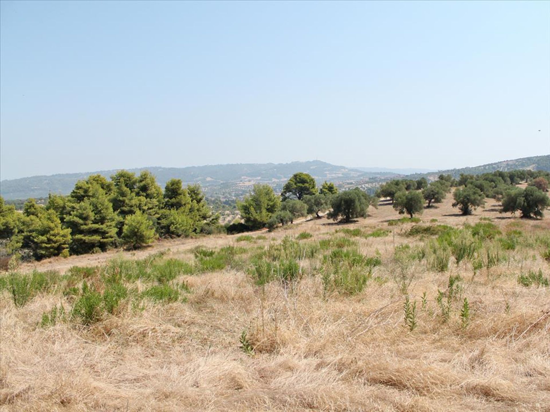 Land in Kassandreia, Kentriki Makedonia 11513499