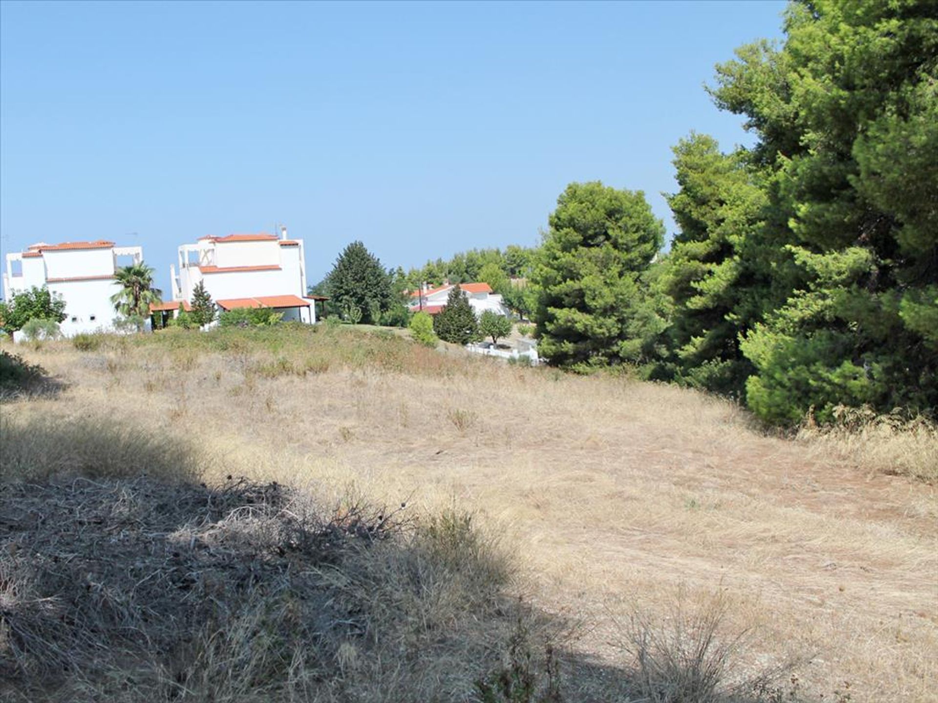 Land in Kassandreia, Kentriki Makedonia 11513499