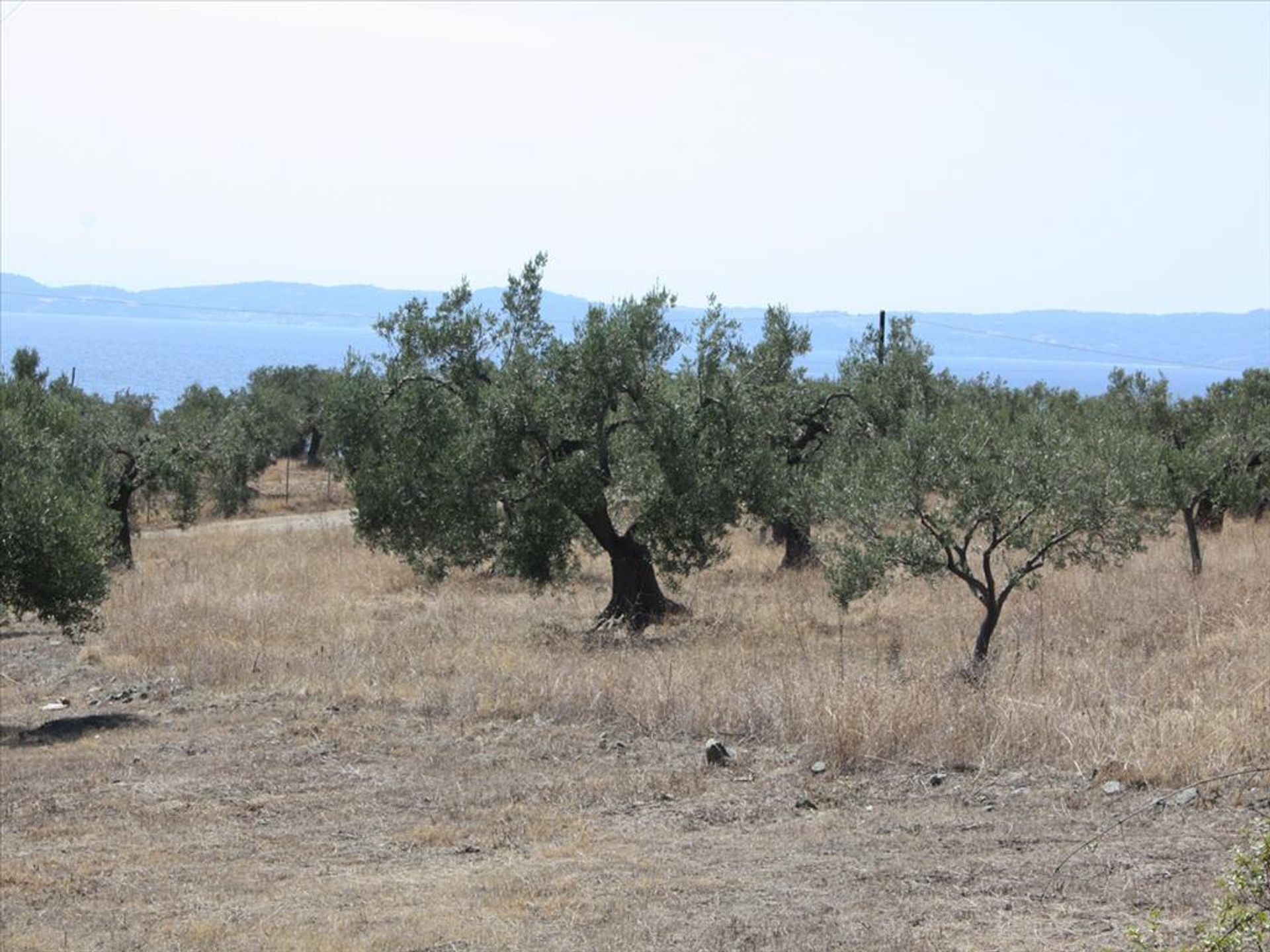 Maa sisään Neos Marmaras, Kentriki Makedonia 11513510