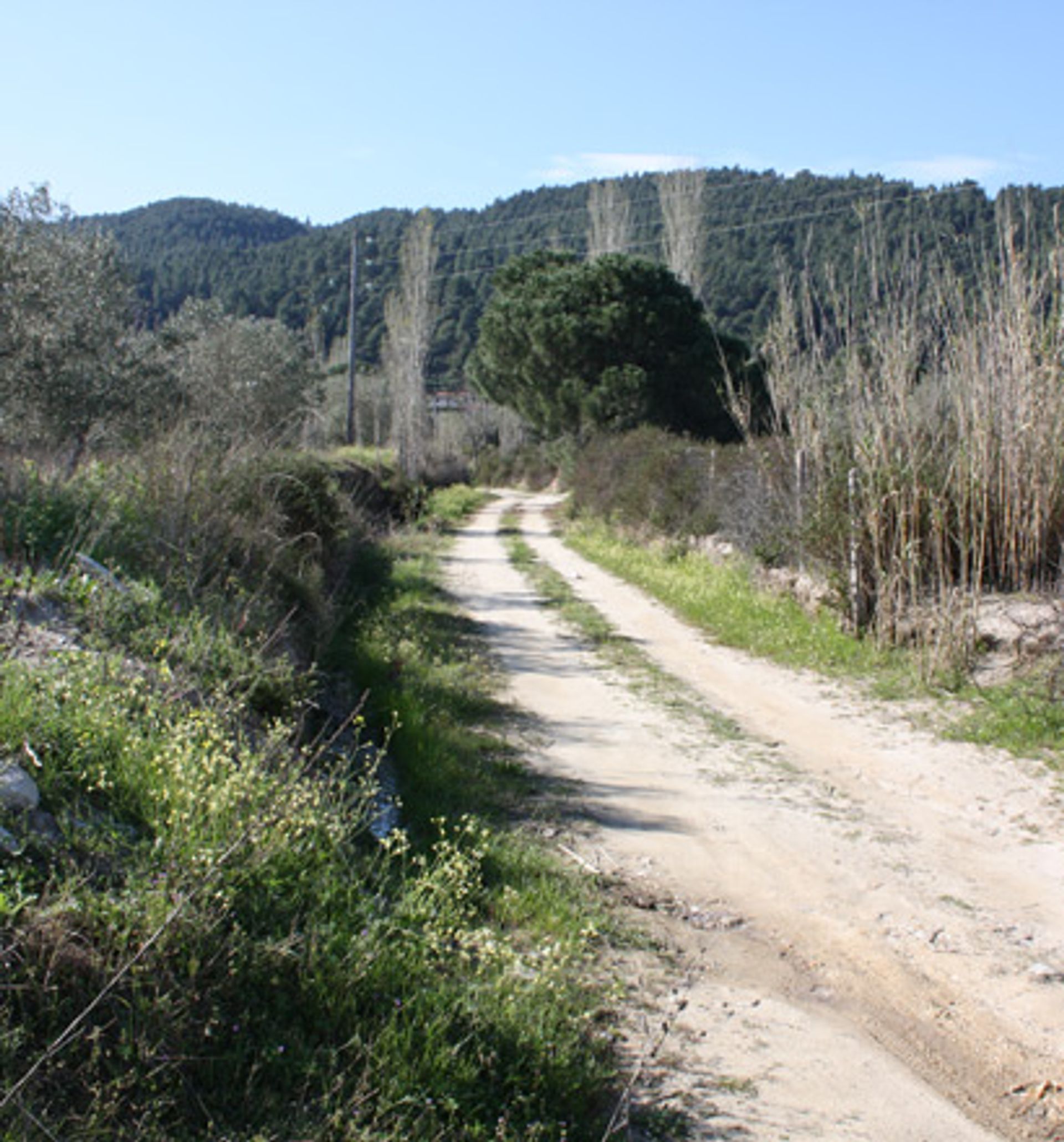 Tierra en pitsiota, Esterea Ellada 11513587