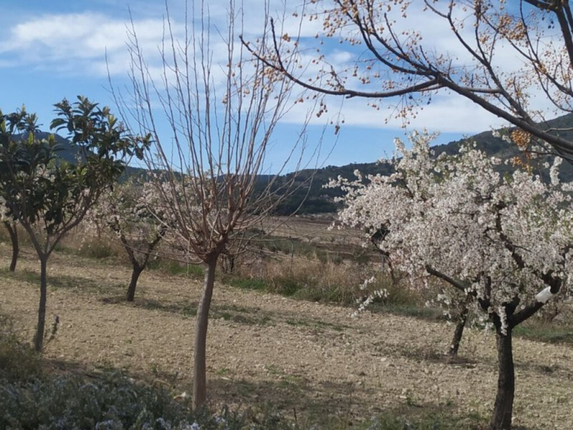 casa en , Región de Murcia 11513756