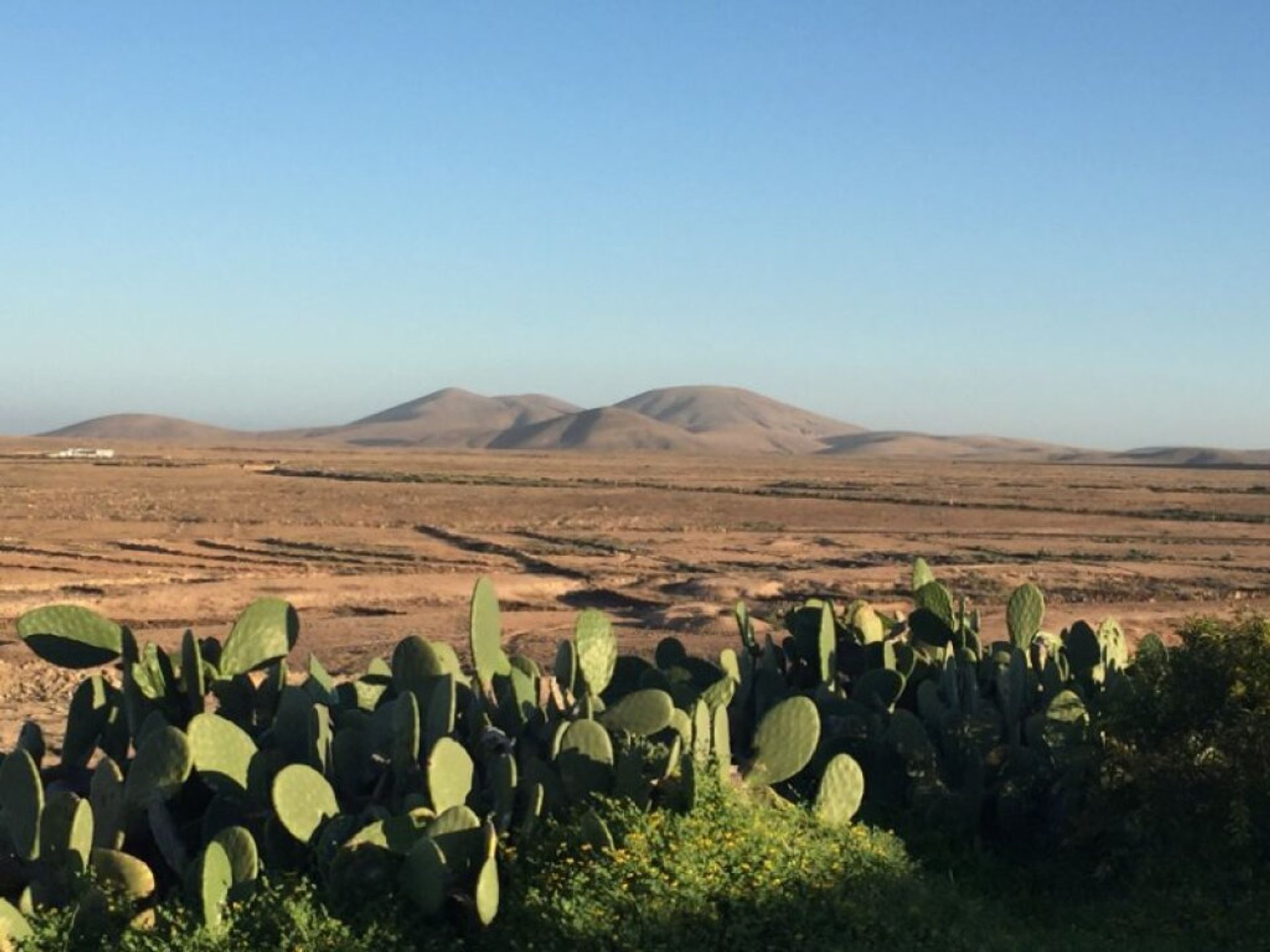 casa en La Oliva, Canarias 11513758