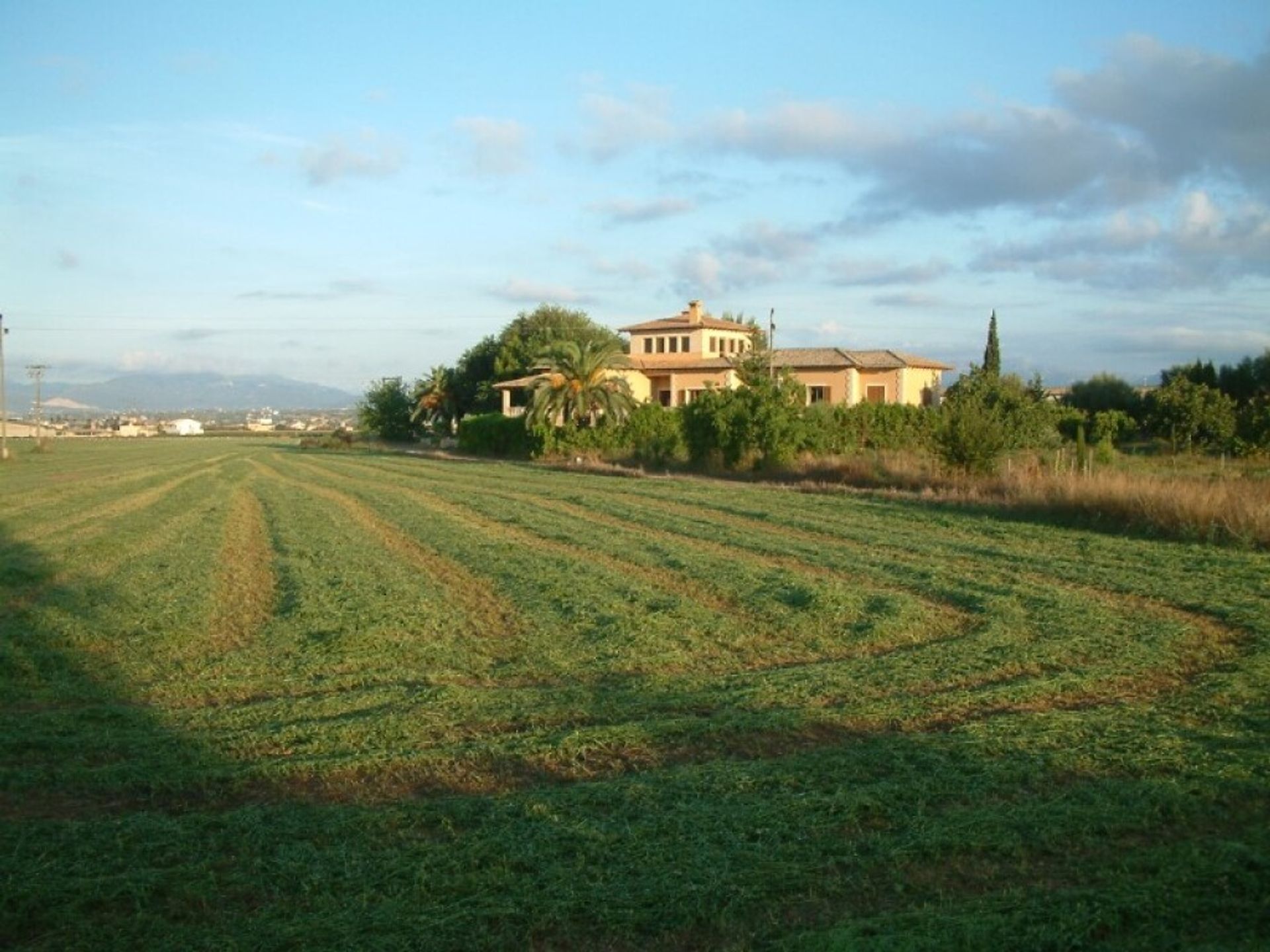 Land im Palma, Balearic Islands 11513823