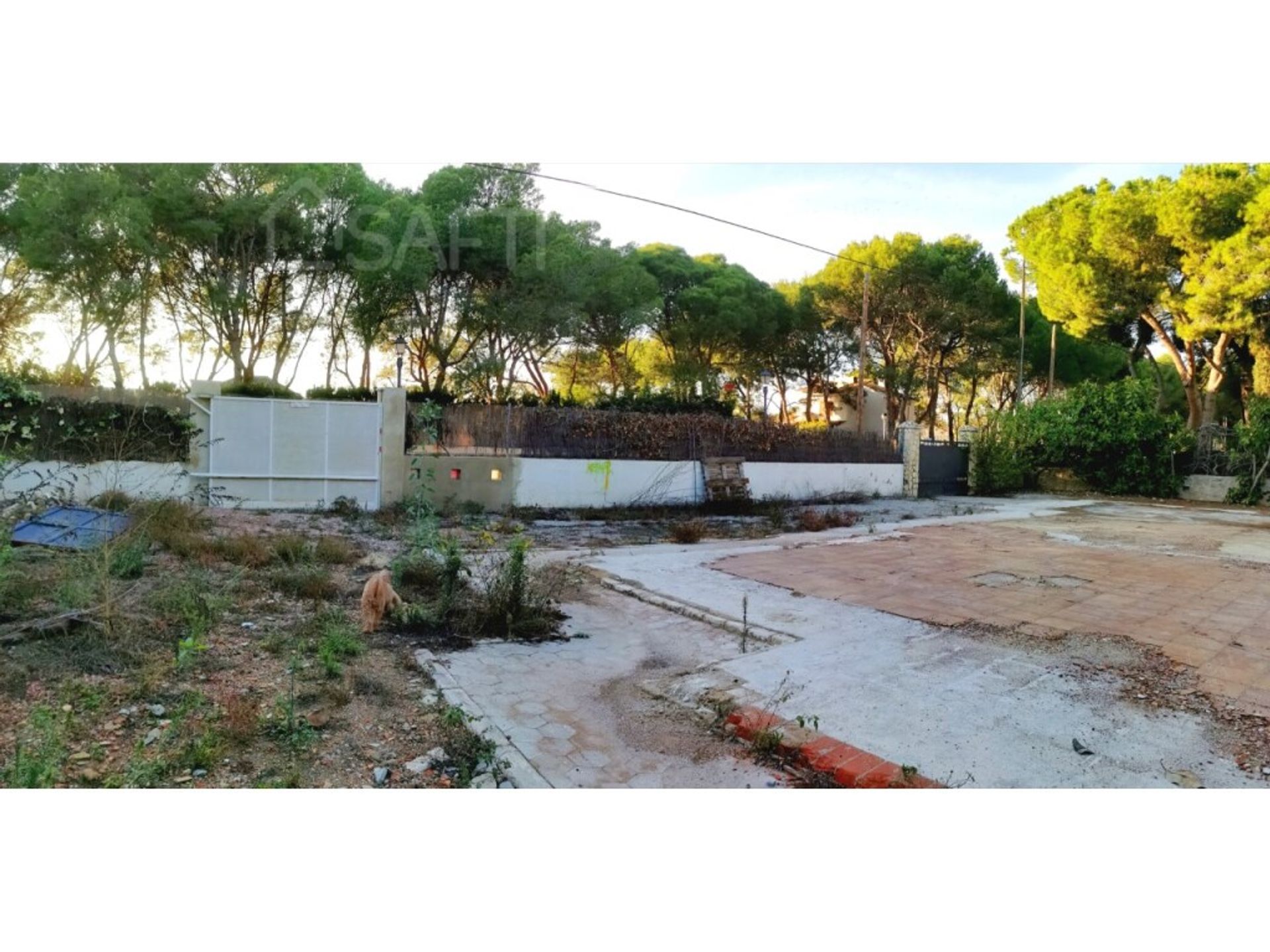 Land in Rocafort, Comunidad Valenciana 11513889