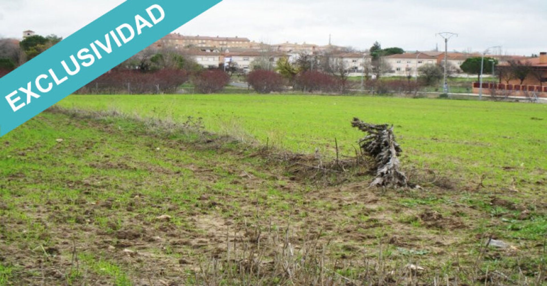 Terre dans Villamiel de Tolède, Castille-La Manche 11513913