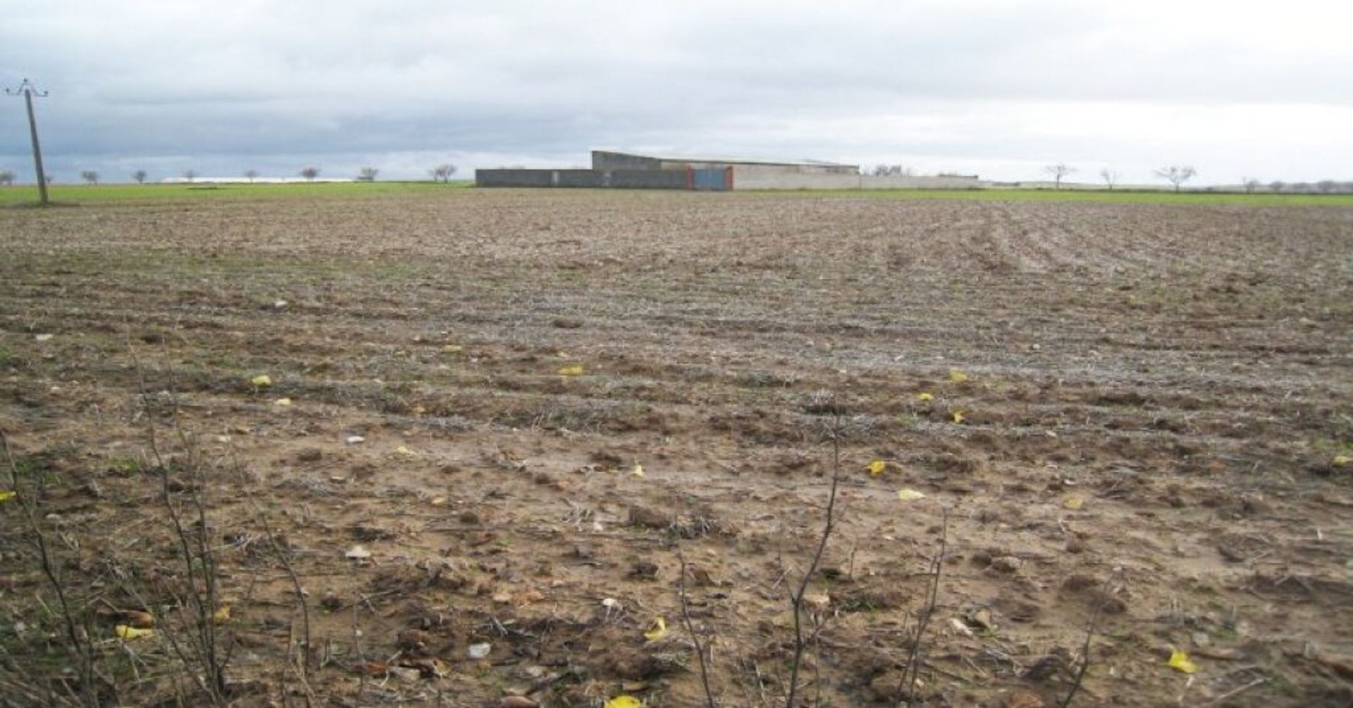 Terre dans Villarrubia de Santiago, Castilla-La Mancha 11513915