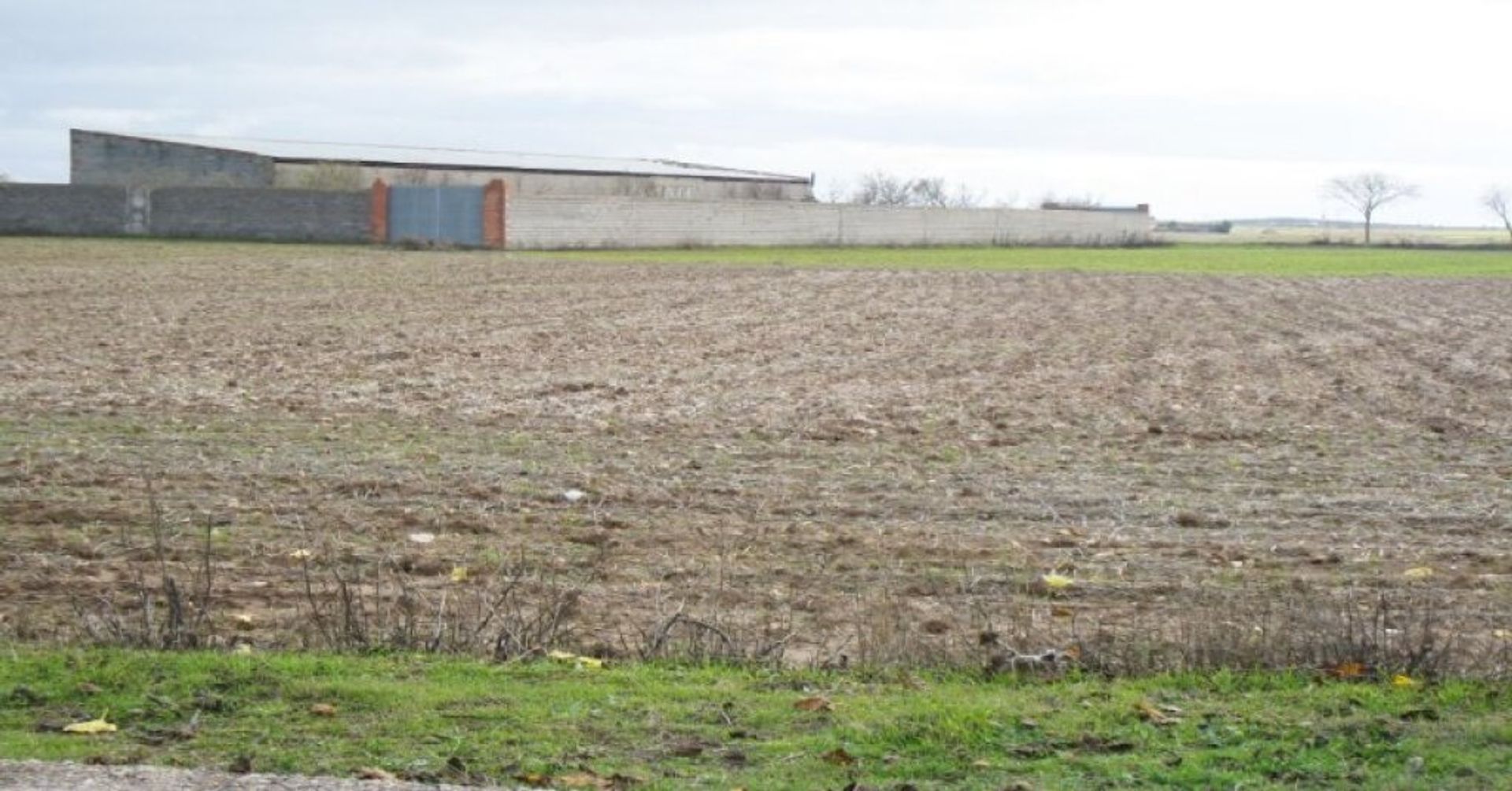 Terra no Villarrubia de Santiago, Castilla-La Mancha 11513915