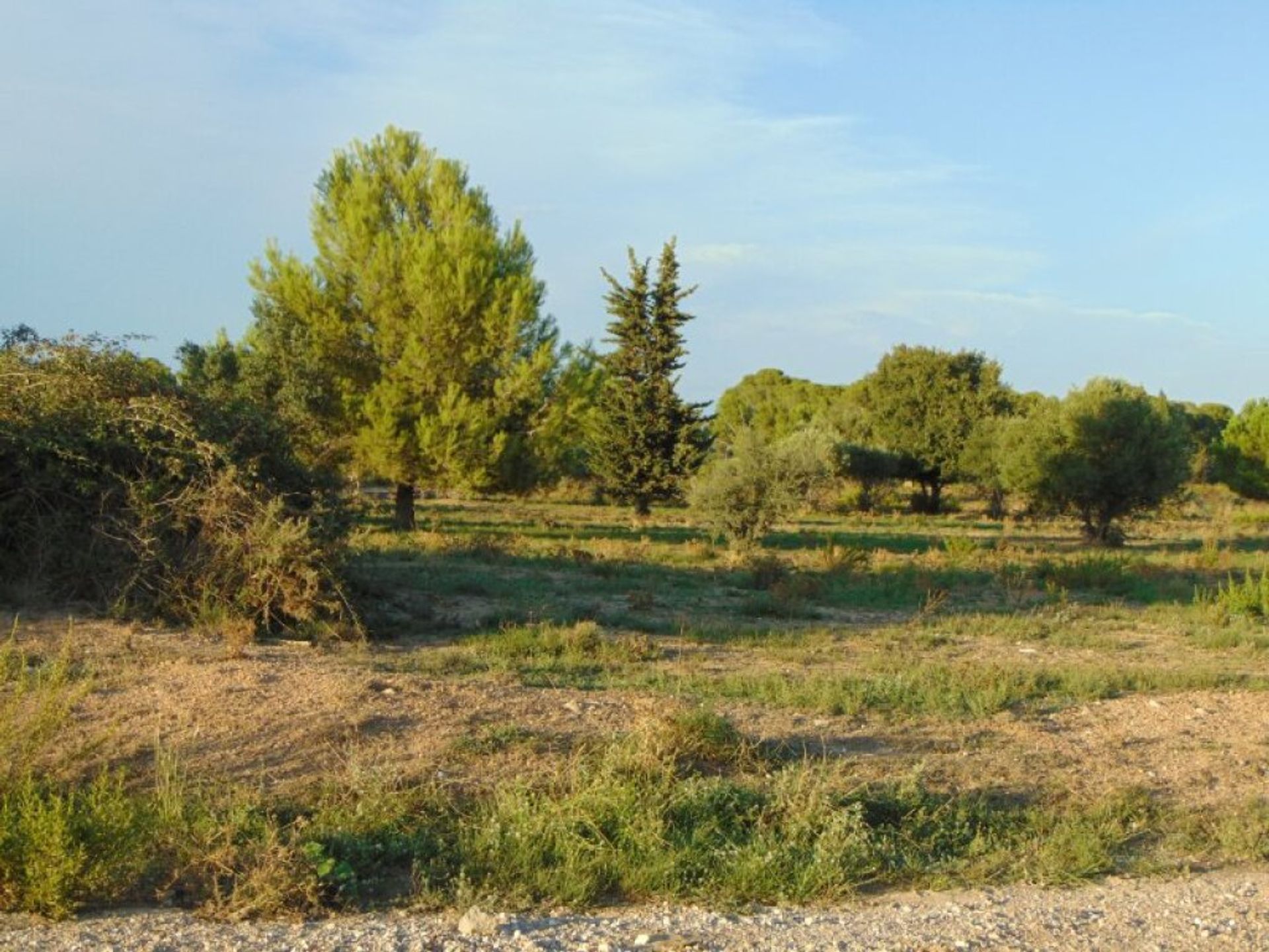 Terra no Sant Jaume dels Domenys, Catalunya 11513941