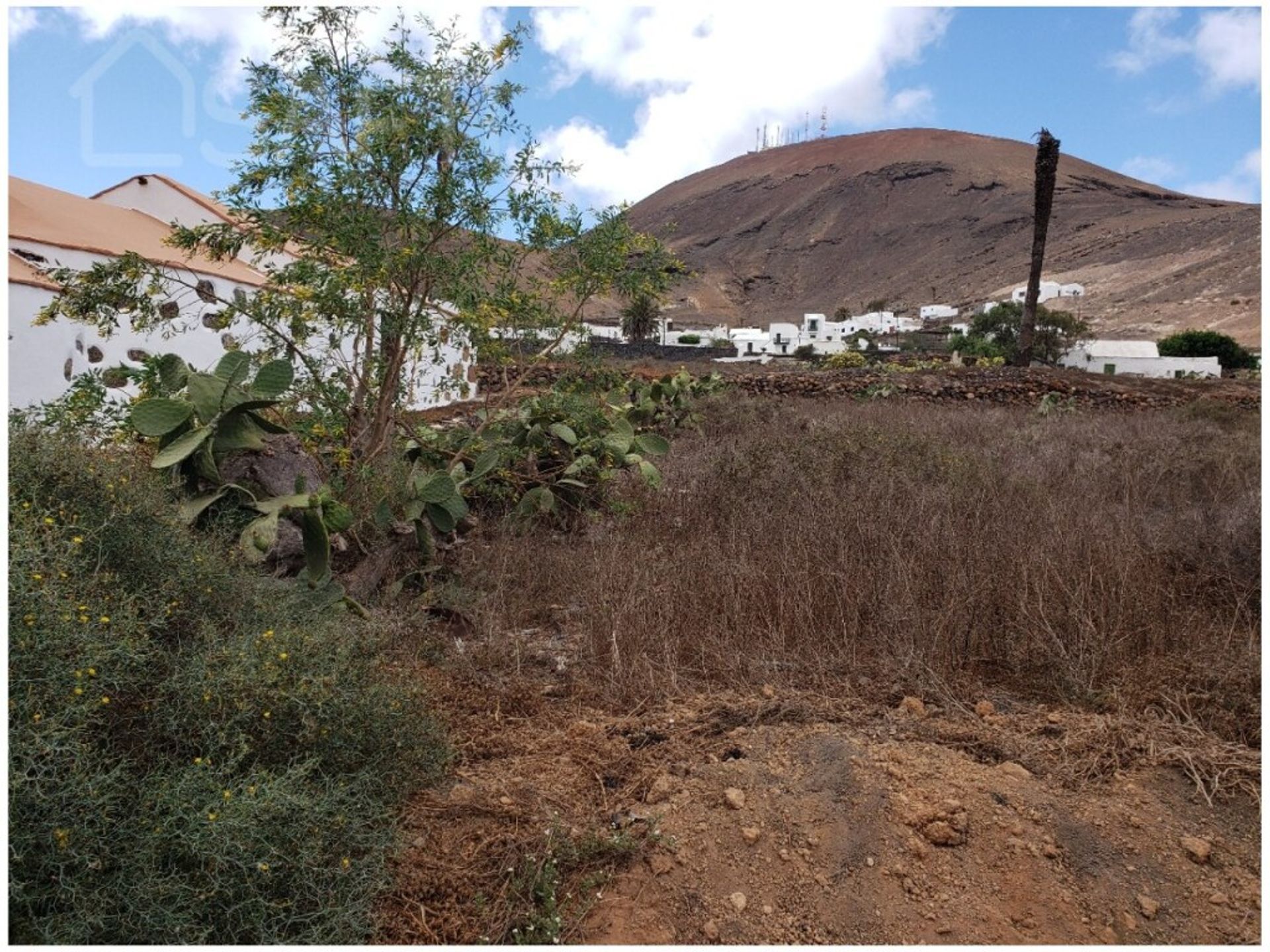 Tierra en La Degollada, Canarias 11514012