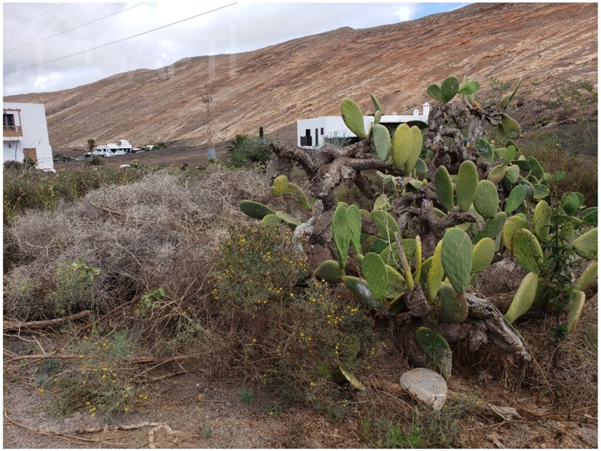 Tierra en uga, Islas Canarias 11514012