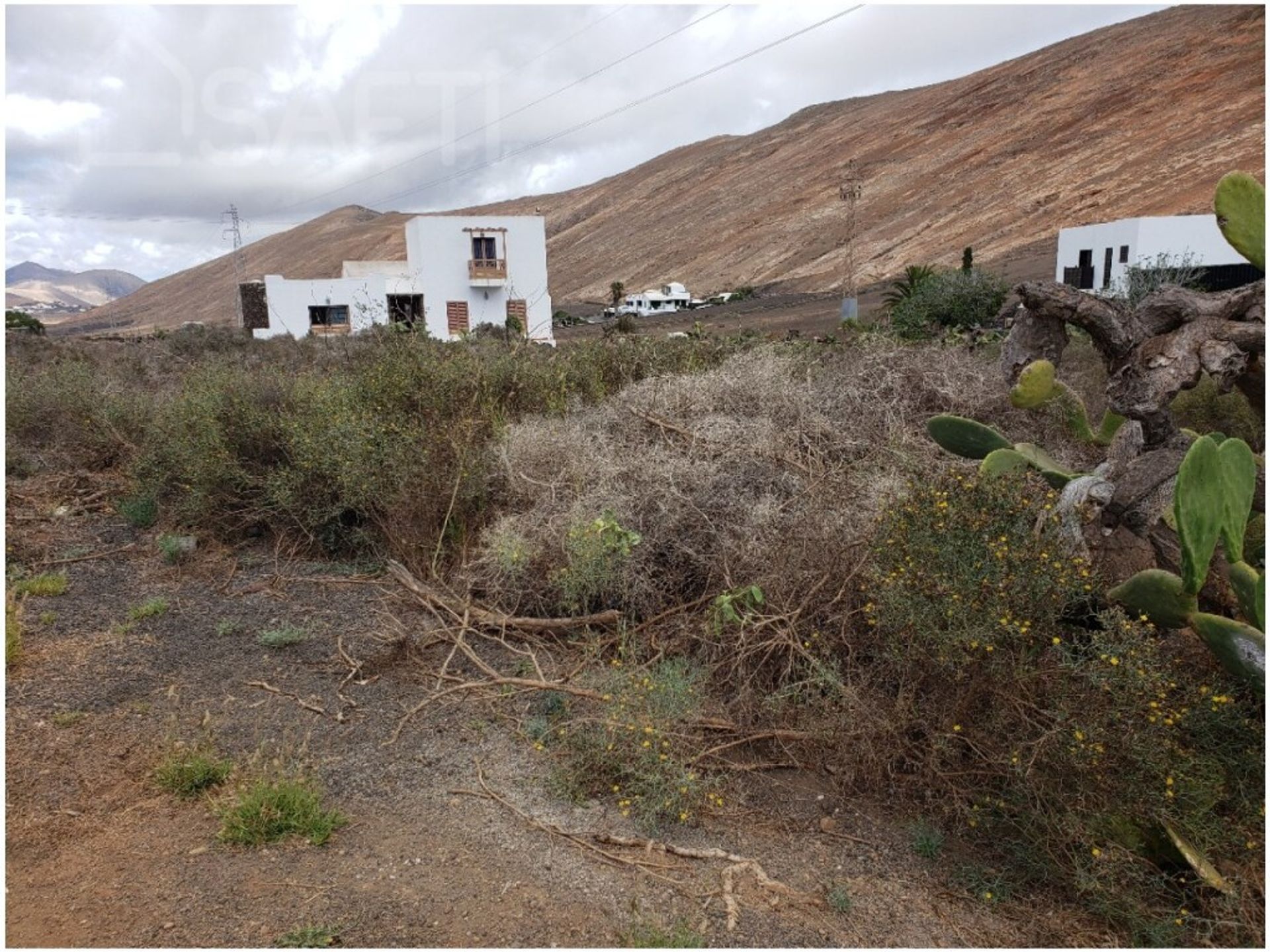 Terre dans Ouga, les îles Canaries 11514012