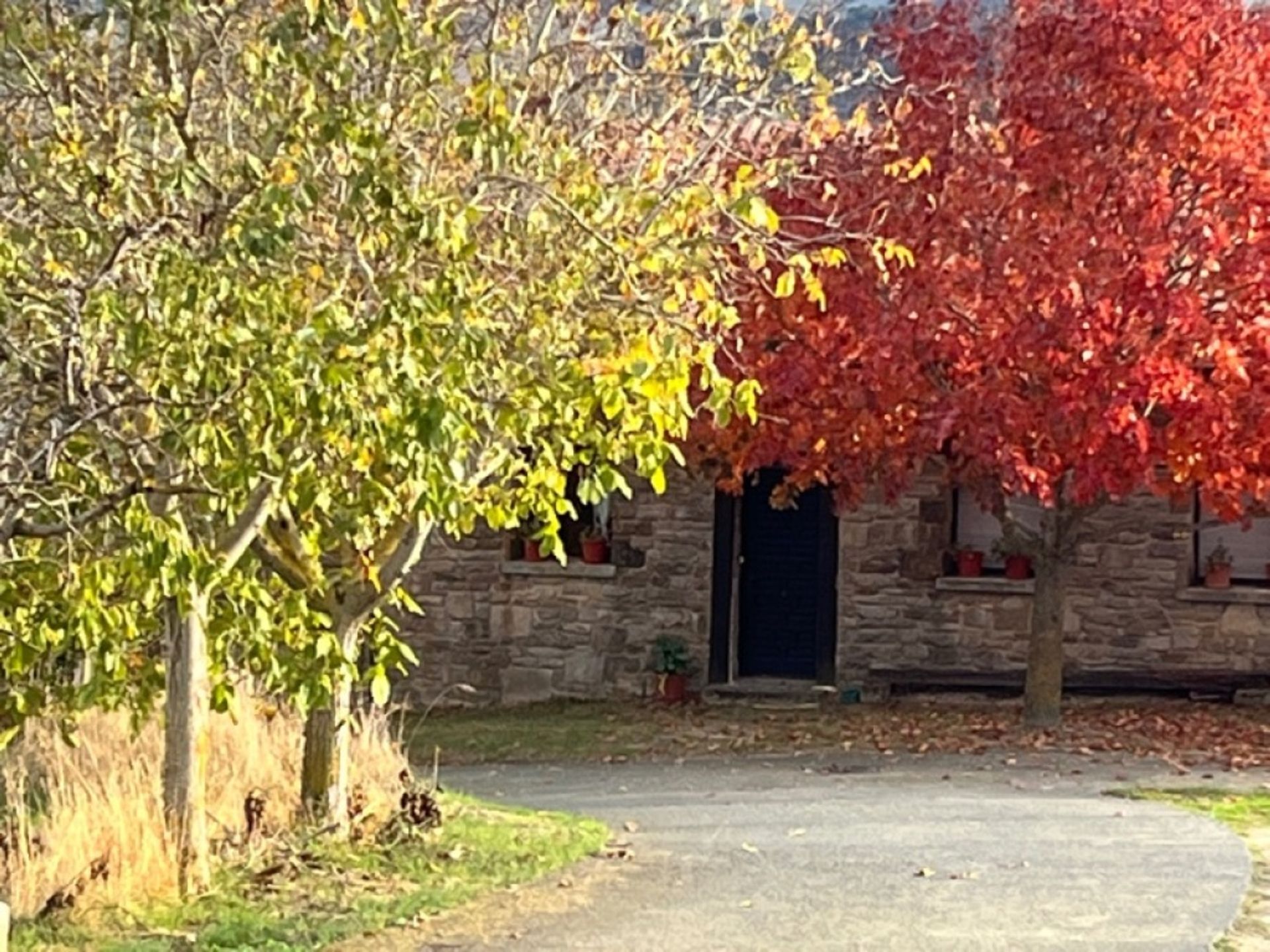 casa no Prefeito de Cizur, Navarra 11514124