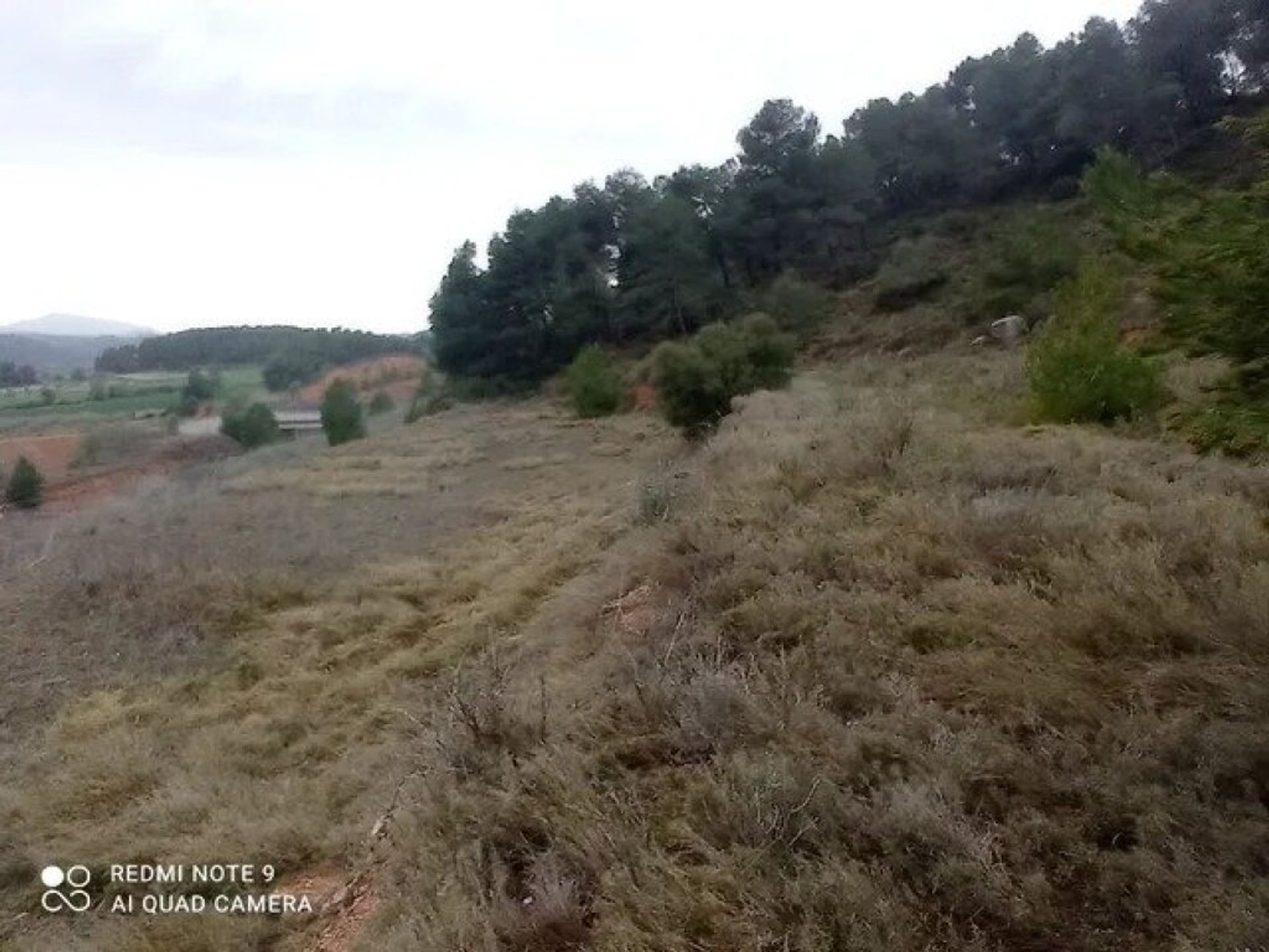 Land im L'Espluga de Francolí, Cataluña 11514132