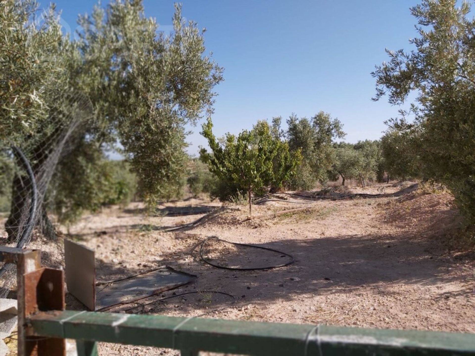 Land i Mancha Real, Andalucía 11514234