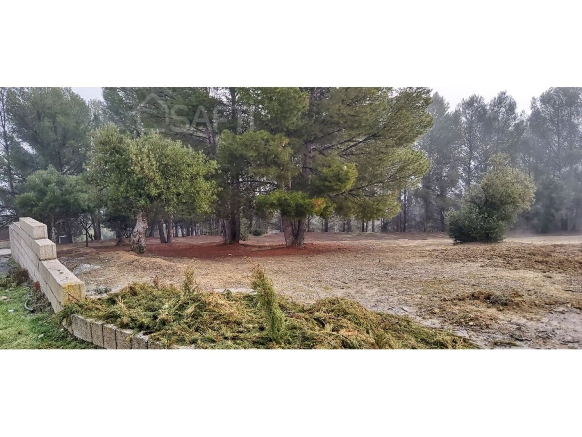 Tierra en Cúllar Vega, Andalucía 11514300