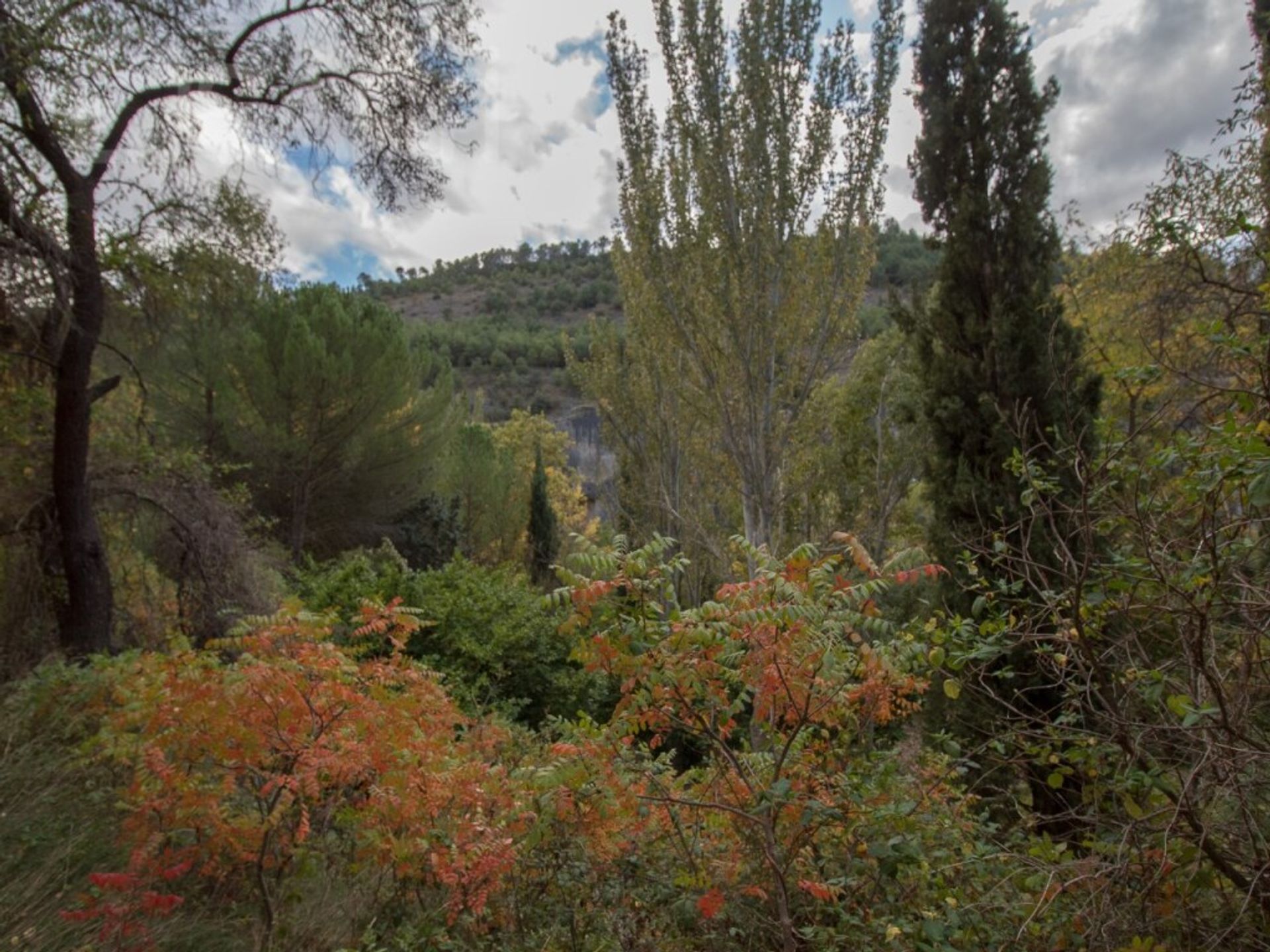 بيت في Cuenca, Castilla-La Mancha 11514438