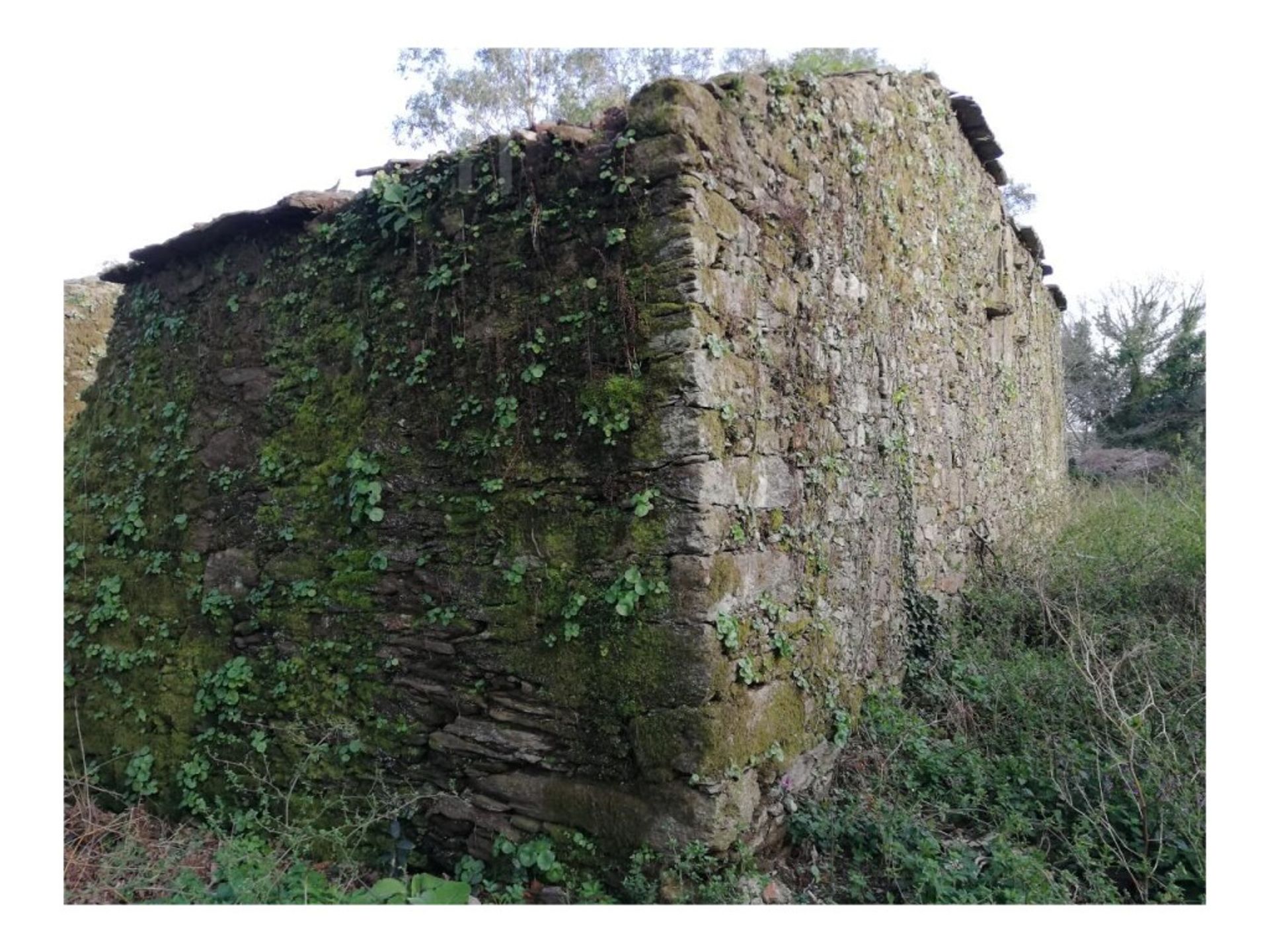 Land in Santiago de Compostela, Galicia 11514495