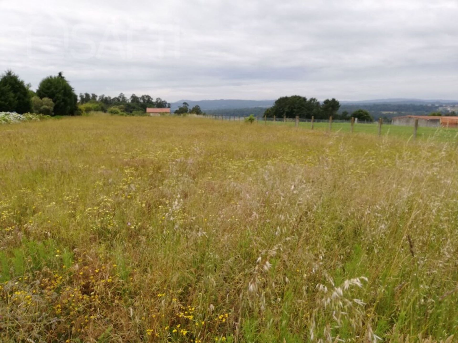 土地 在 , Galicia 11514508