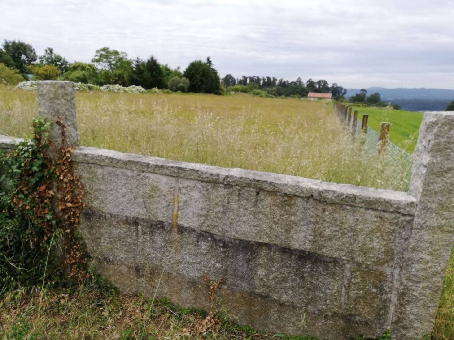 Tierra en vedra, Galicia 11514508