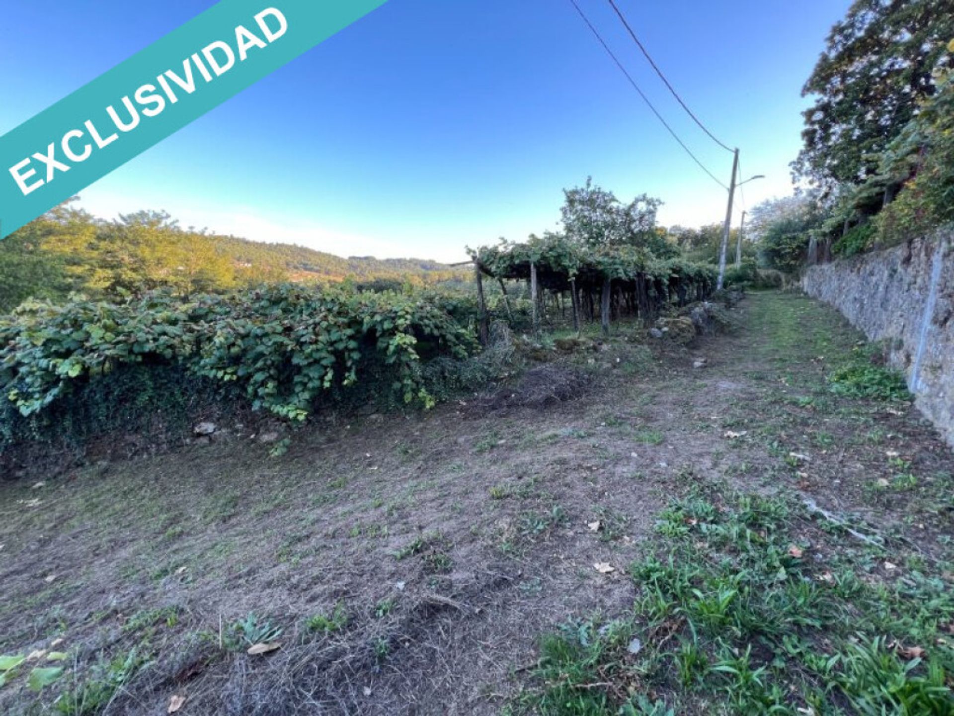 Land i Agromaior, Galicia 11514517