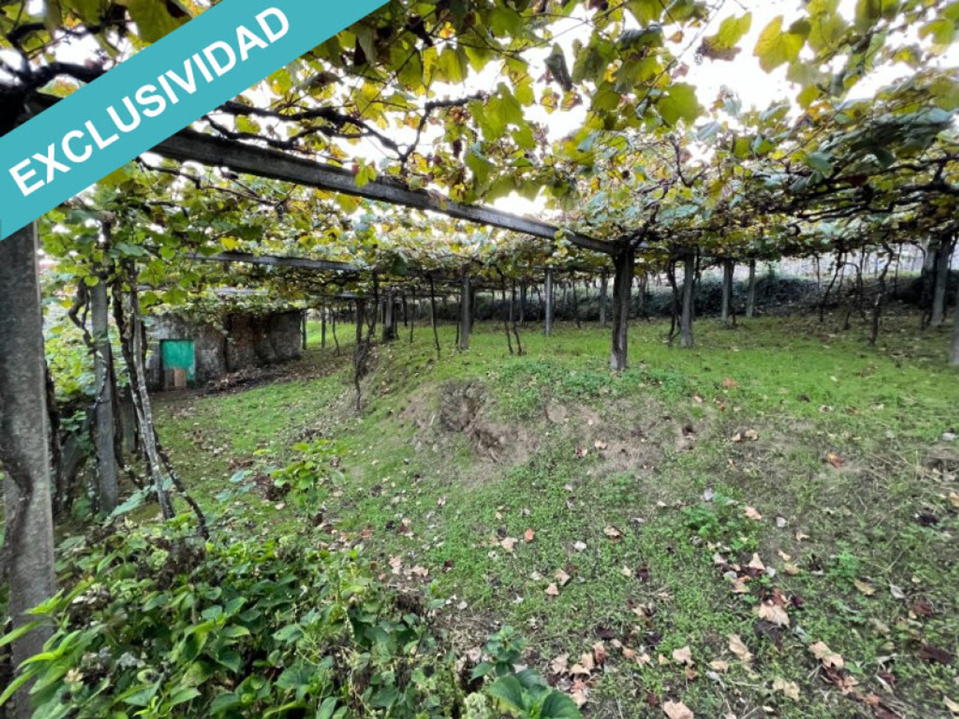 Land i Agromaior, Galicia 11514517