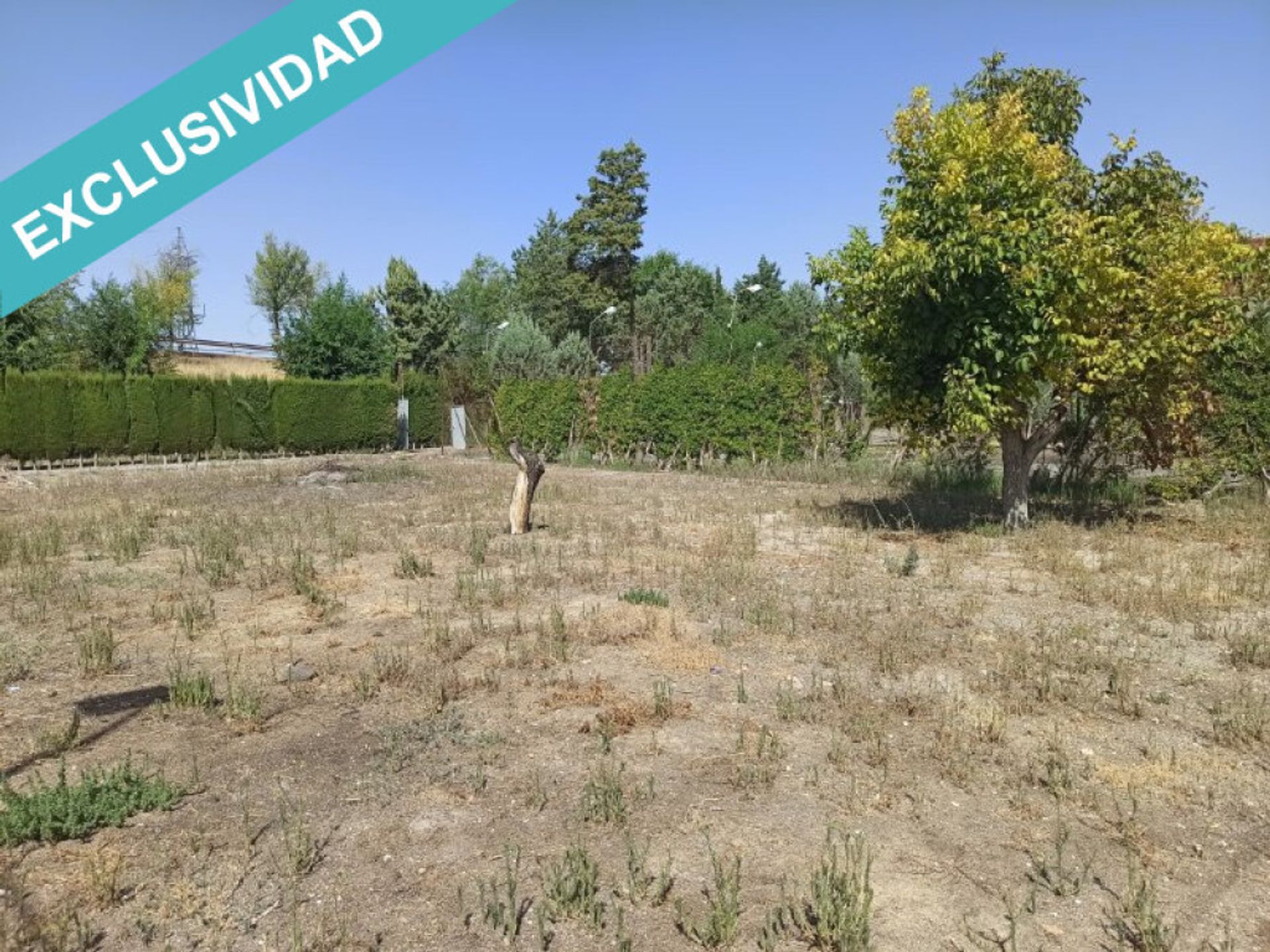 Land in Ciudad Real, Castilla-La Mancha 11514545