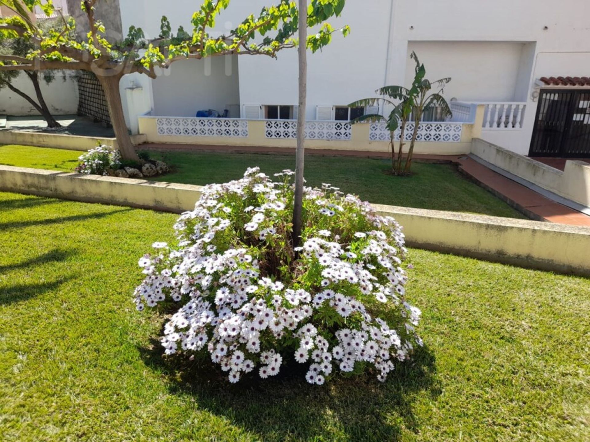 Condomínio no Alcocéber, Valência 11514762