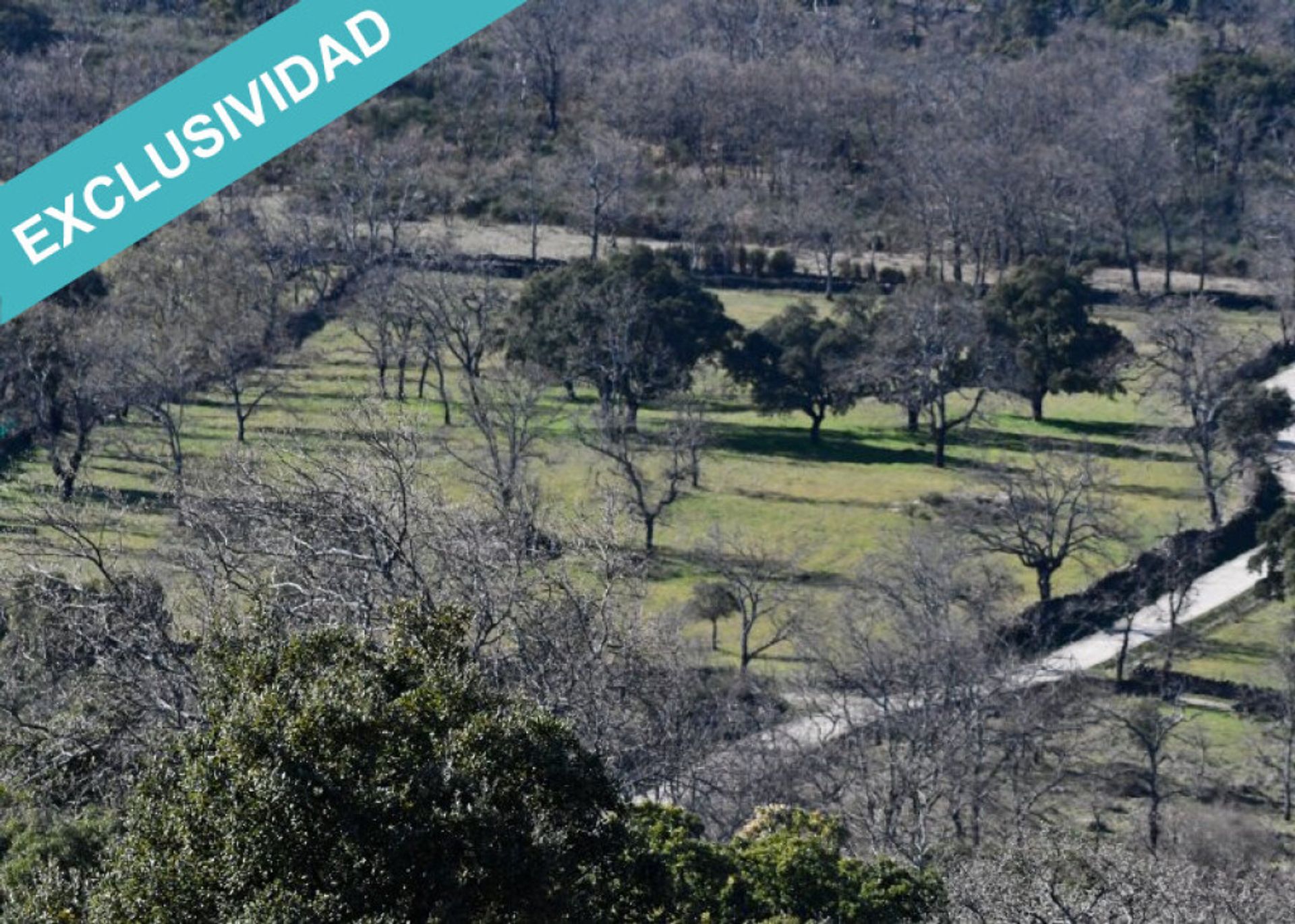 Land in Perales del Puerto, Extremadura 11514888