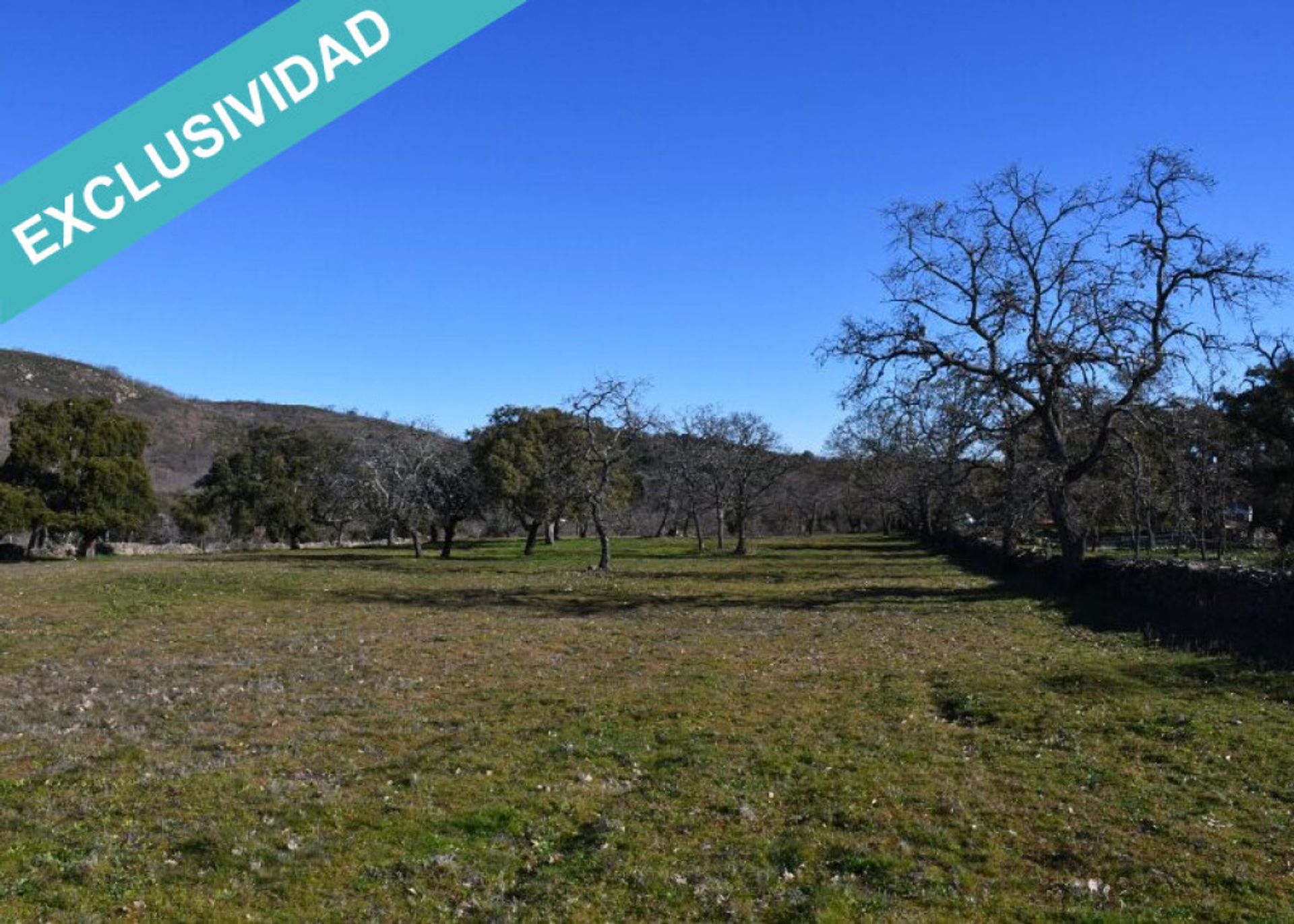 Land in Perales del Puerto, Extremadura 11514888