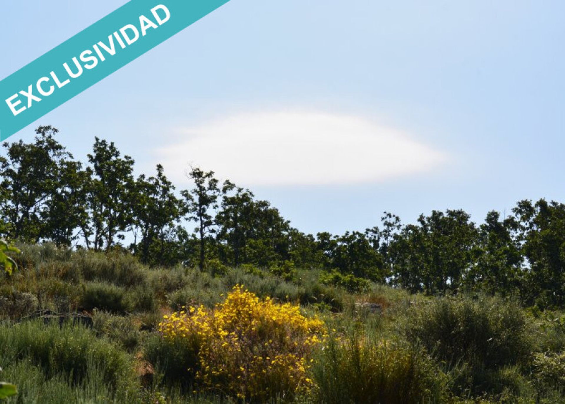 Jord i Cilleros, Extremadura 11514889