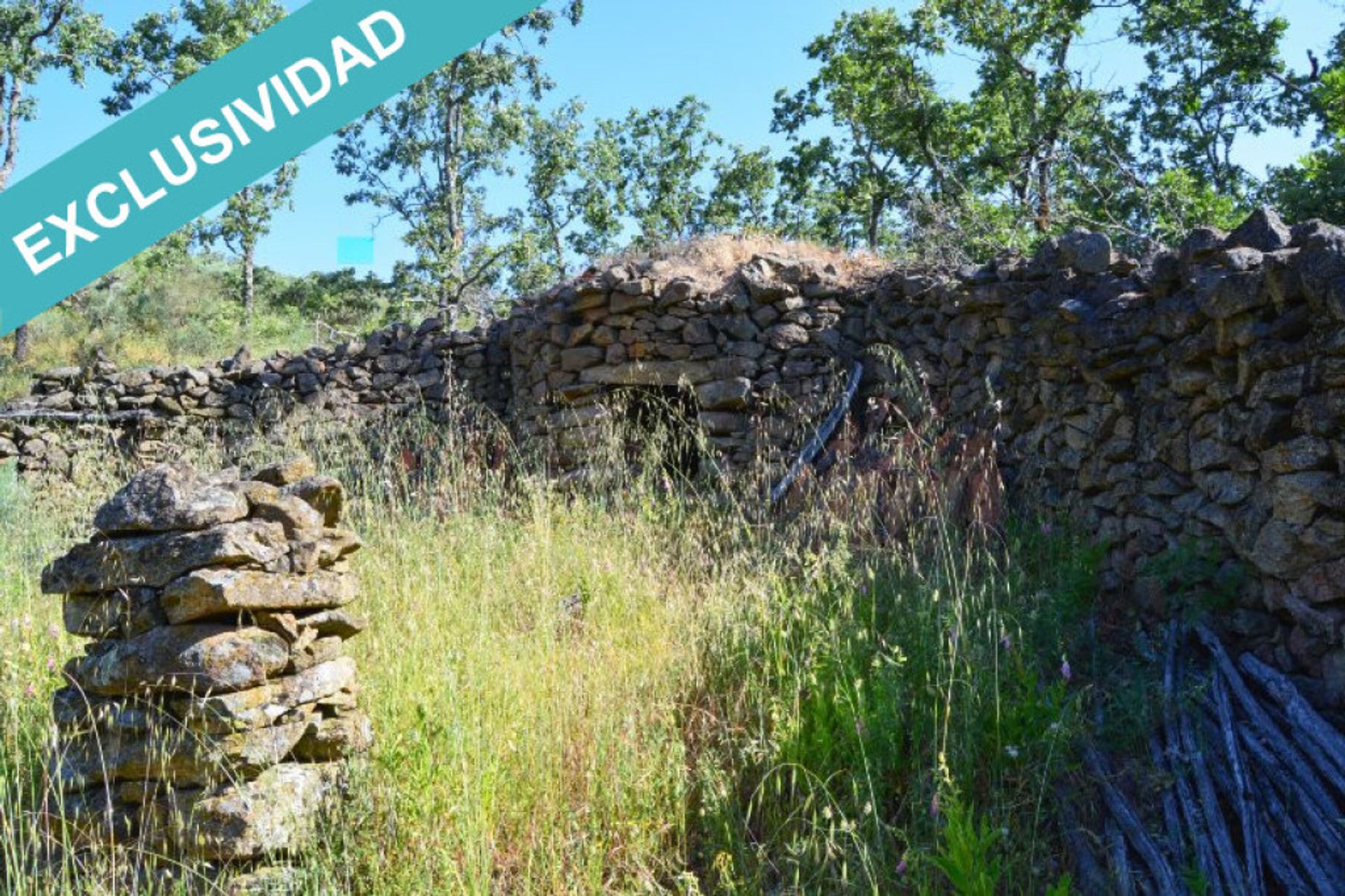 Jord i Cilleros, Extremadura 11514889