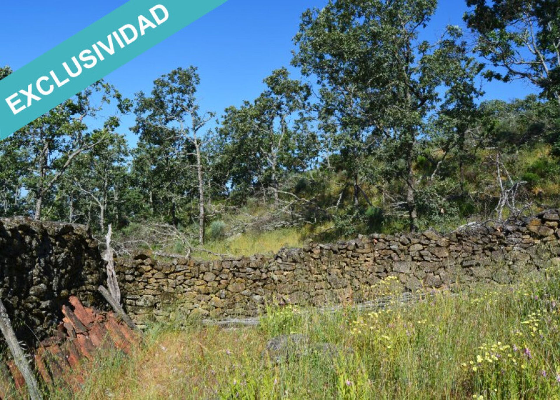 Jord i Cilleros, Extremadura 11514889