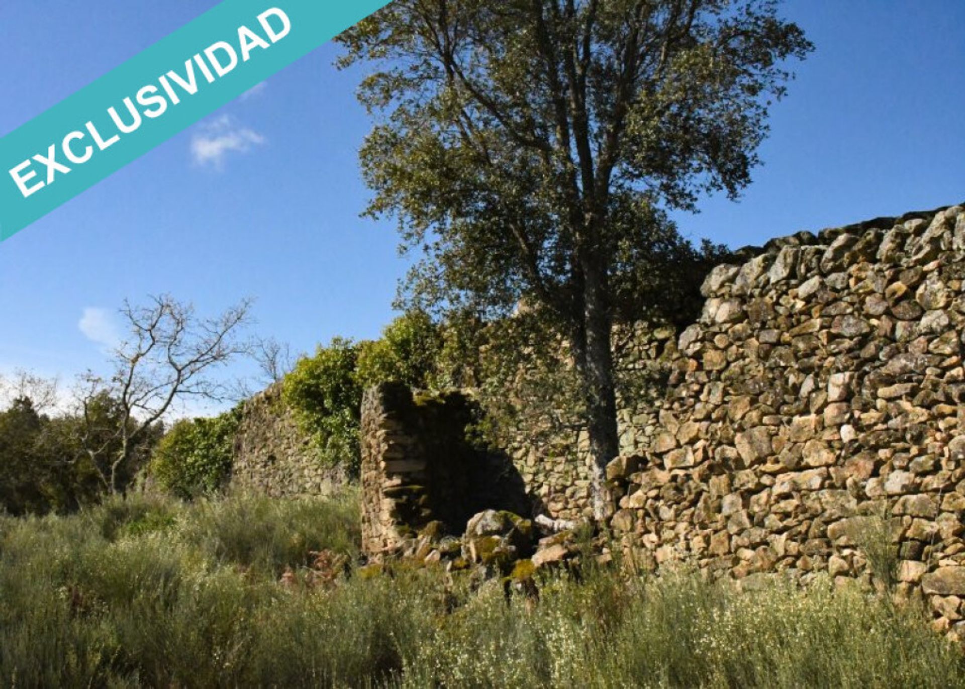 Land in , Extremadura 11514890