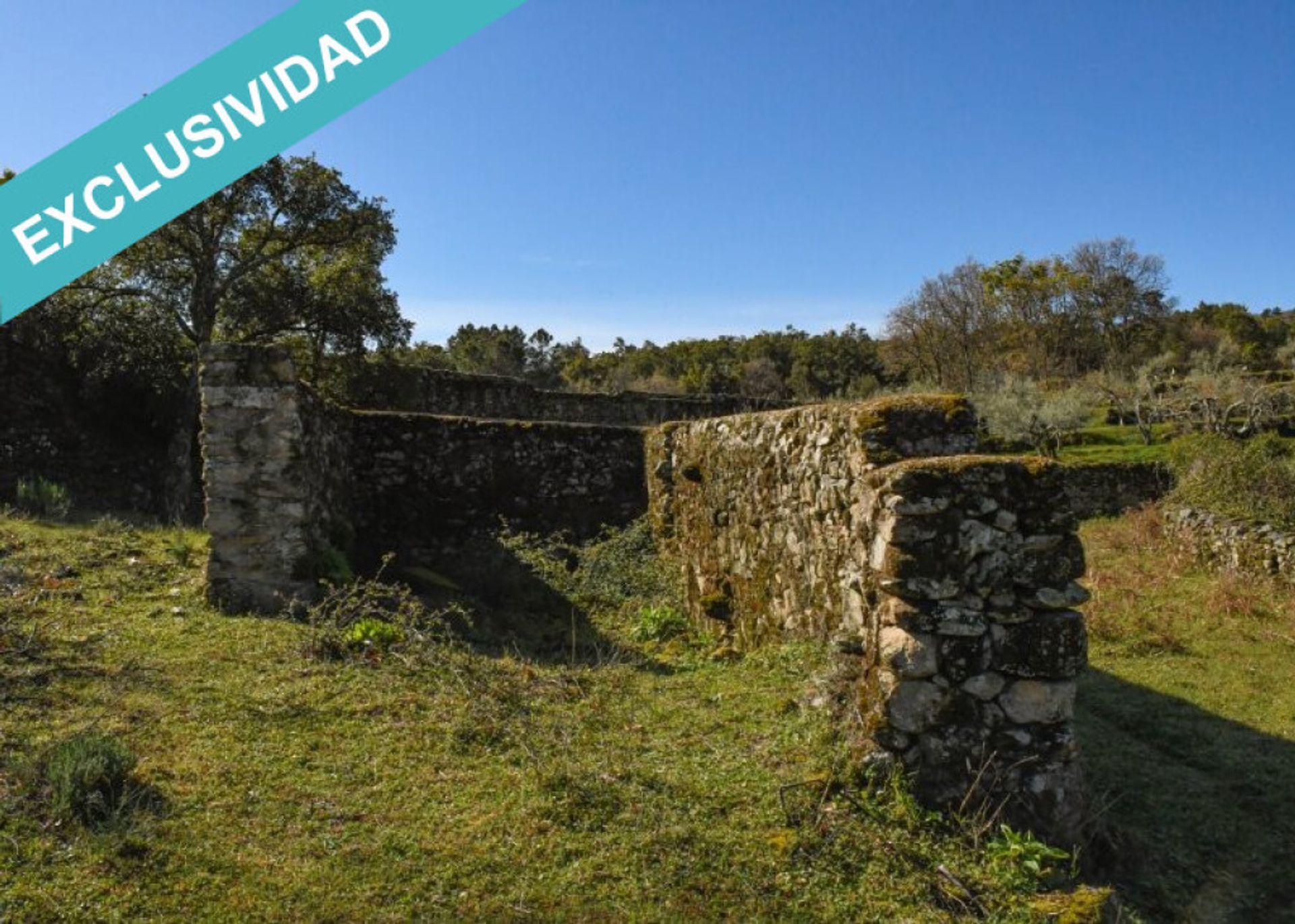 Land in , Extremadura 11514890