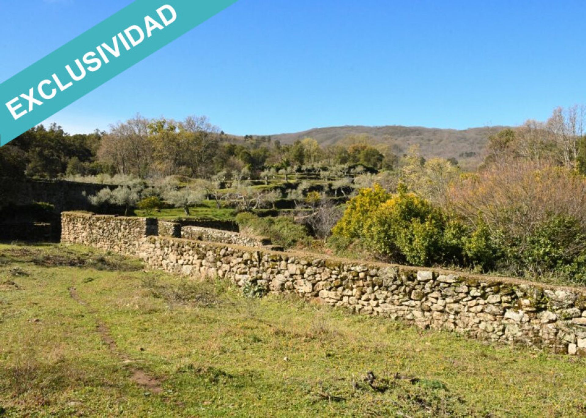 Land in , Extremadura 11514890