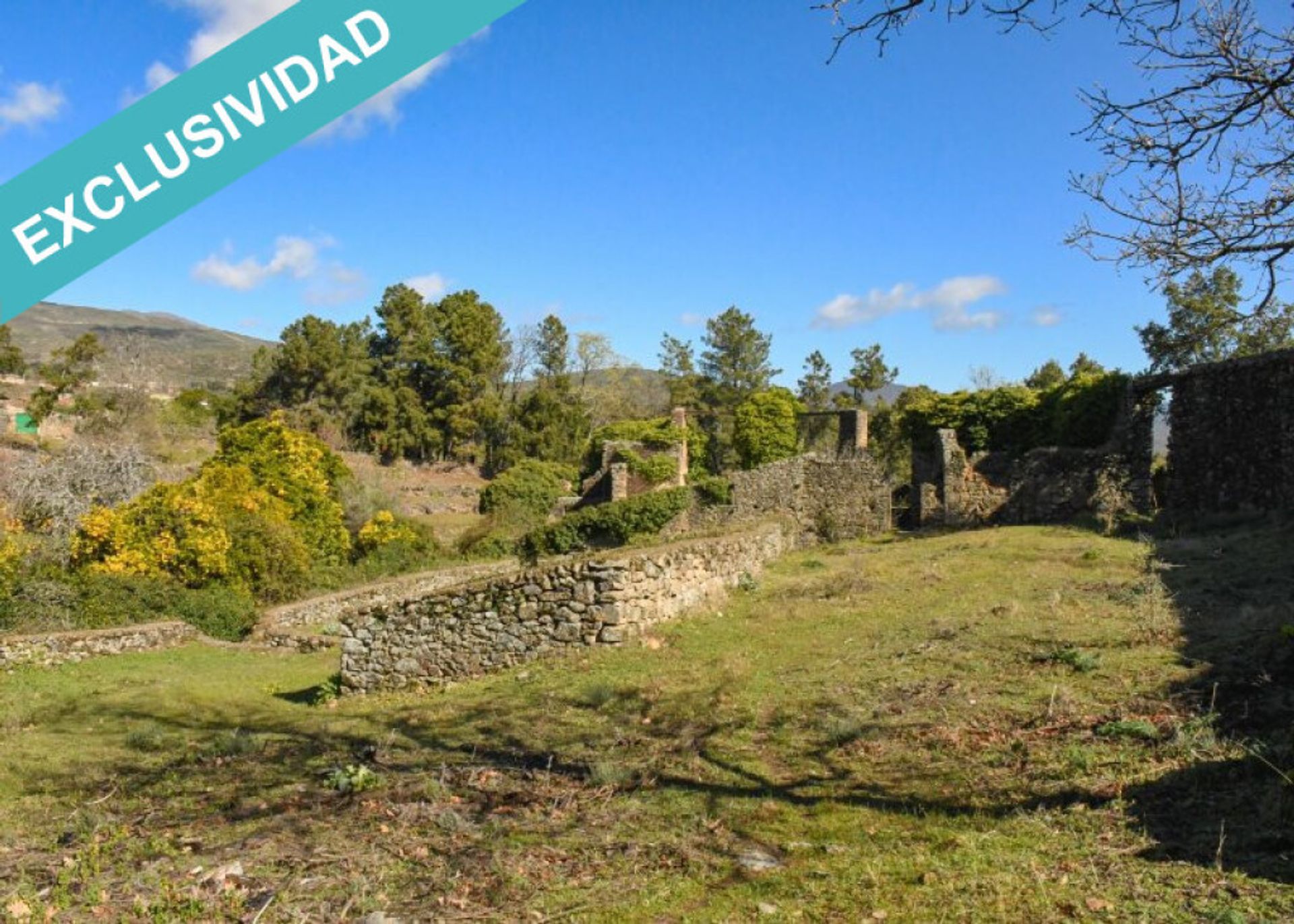 Land in , Extremadura 11514890