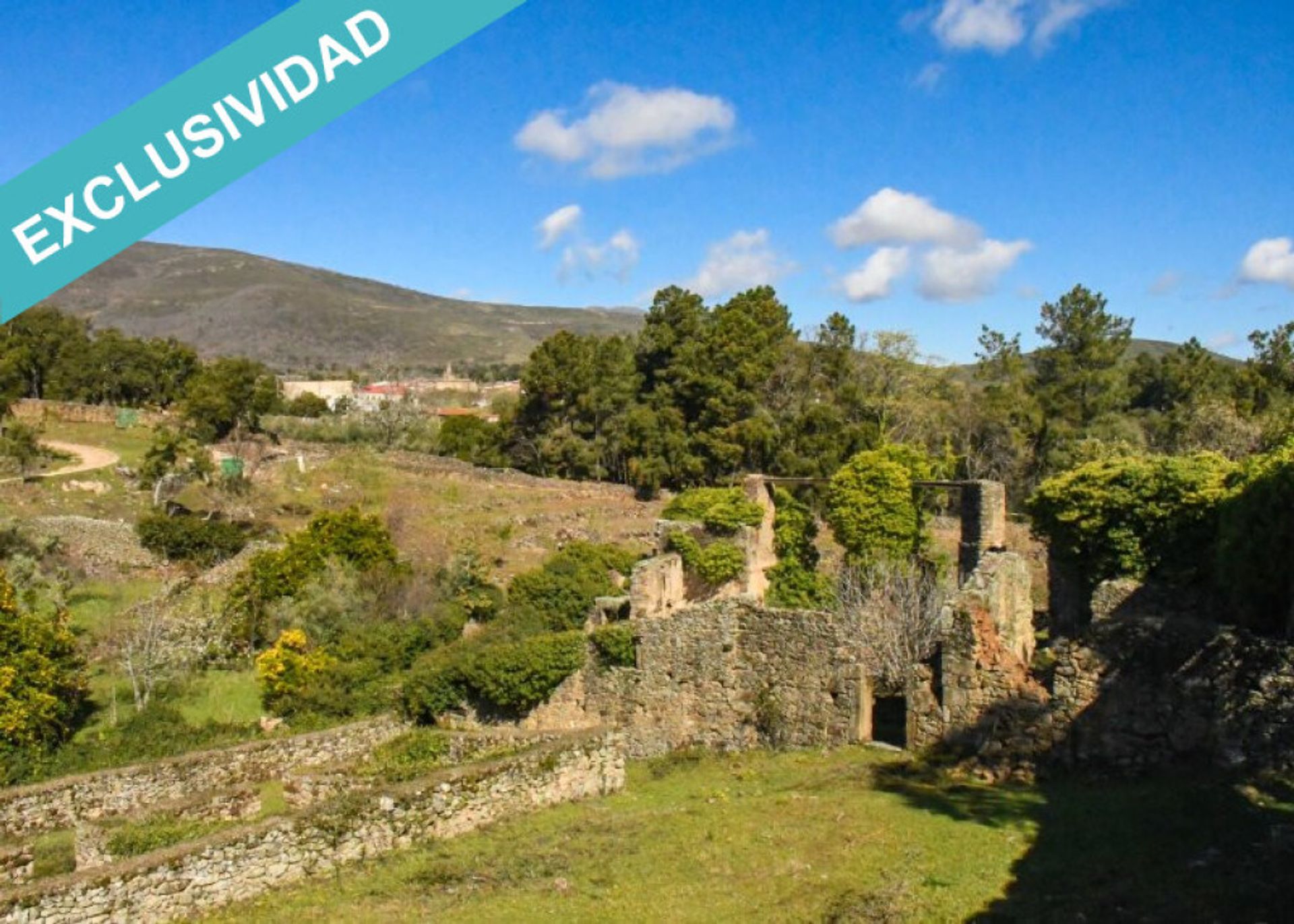 Land in , Extremadura 11514890