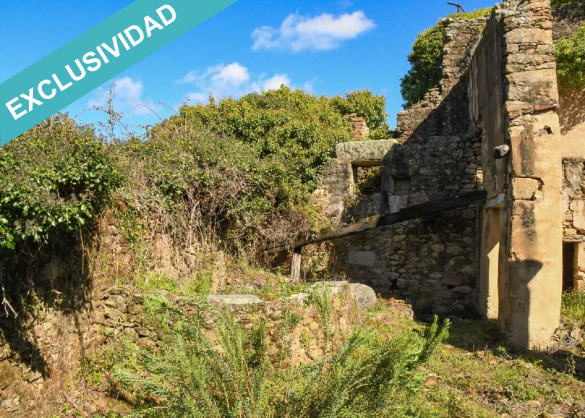 Land in , Extremadura 11514890