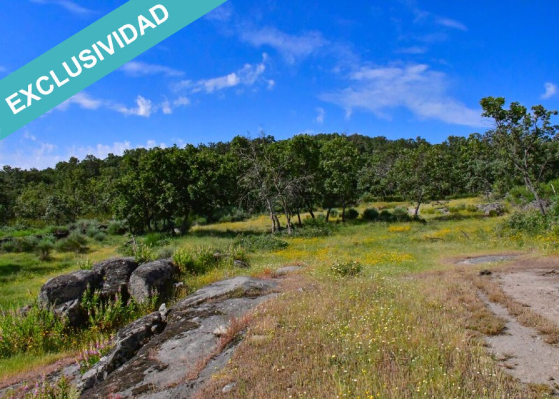 Tanah dalam Perales del Puerto, Extremadura 11514892