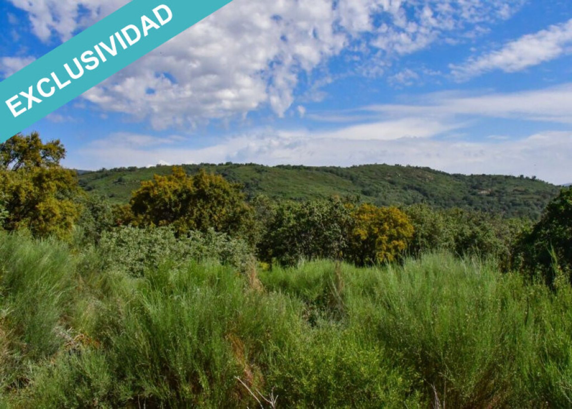 Land in Perales del Puerto, Extremadura 11514892