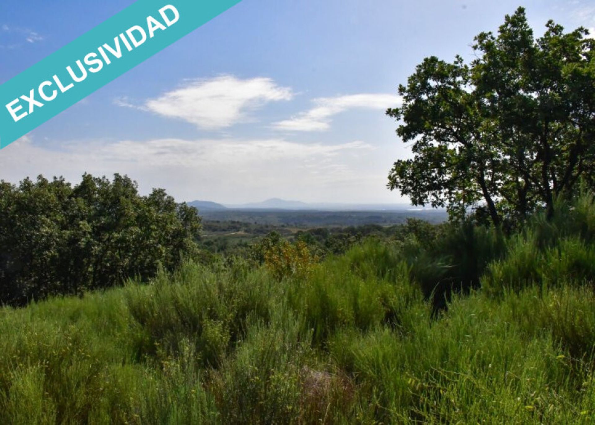 Land in Perales del Puerto, Extremadura 11514892