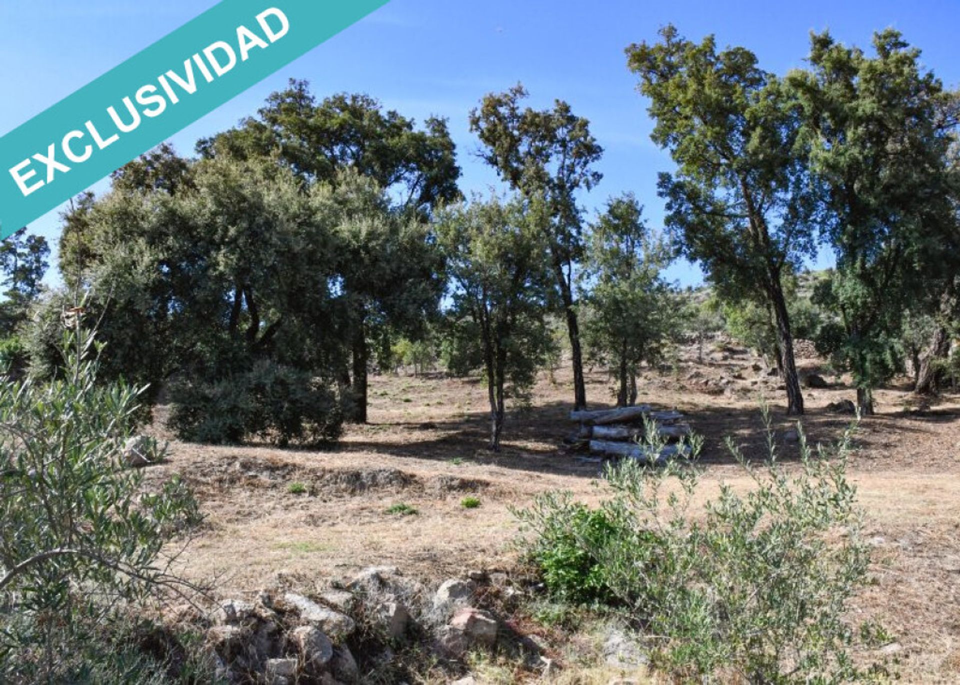 تجاري في Hoyos, Extremadura 11514896