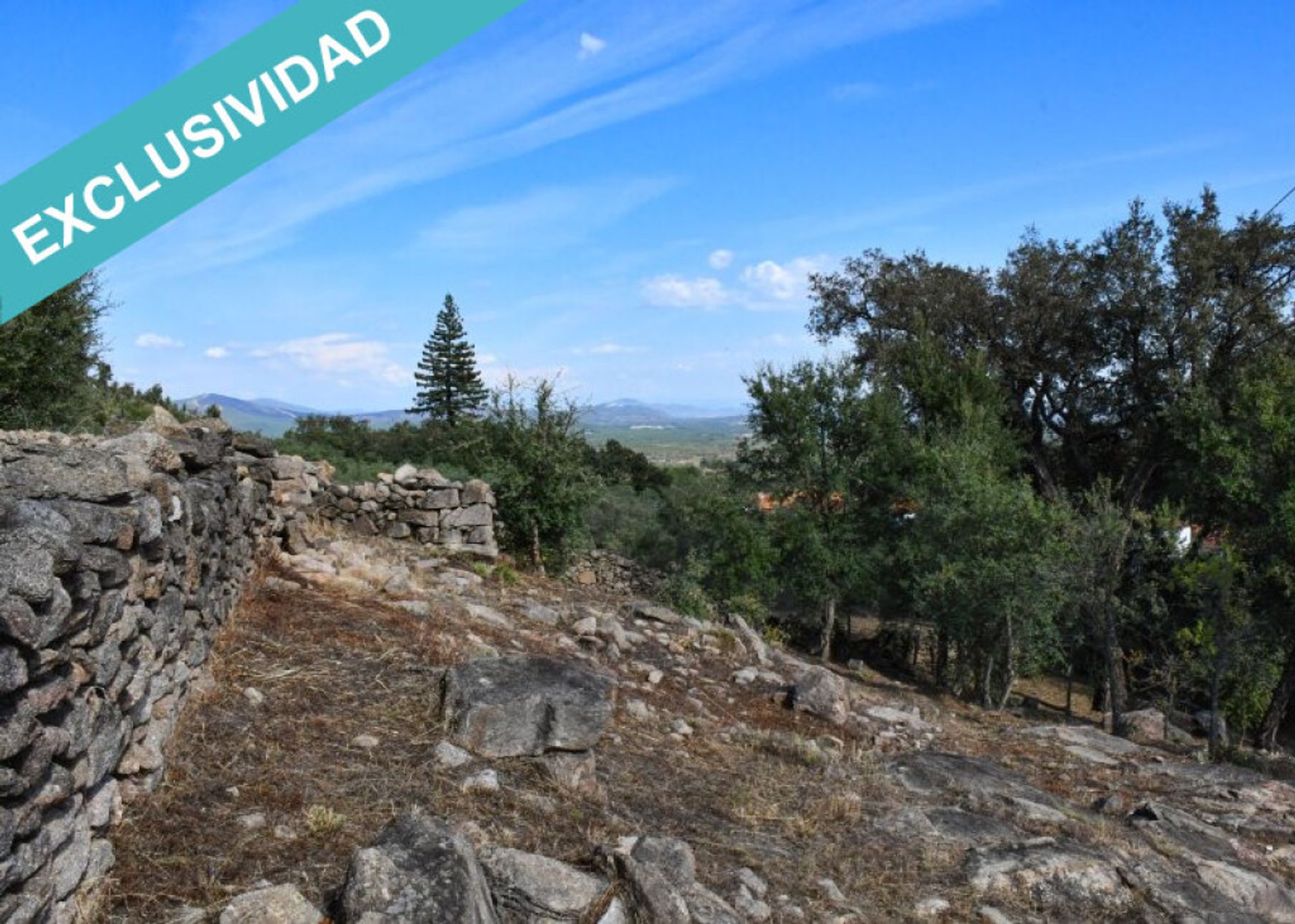 Jord i Hoyos, Extremadura 11514896