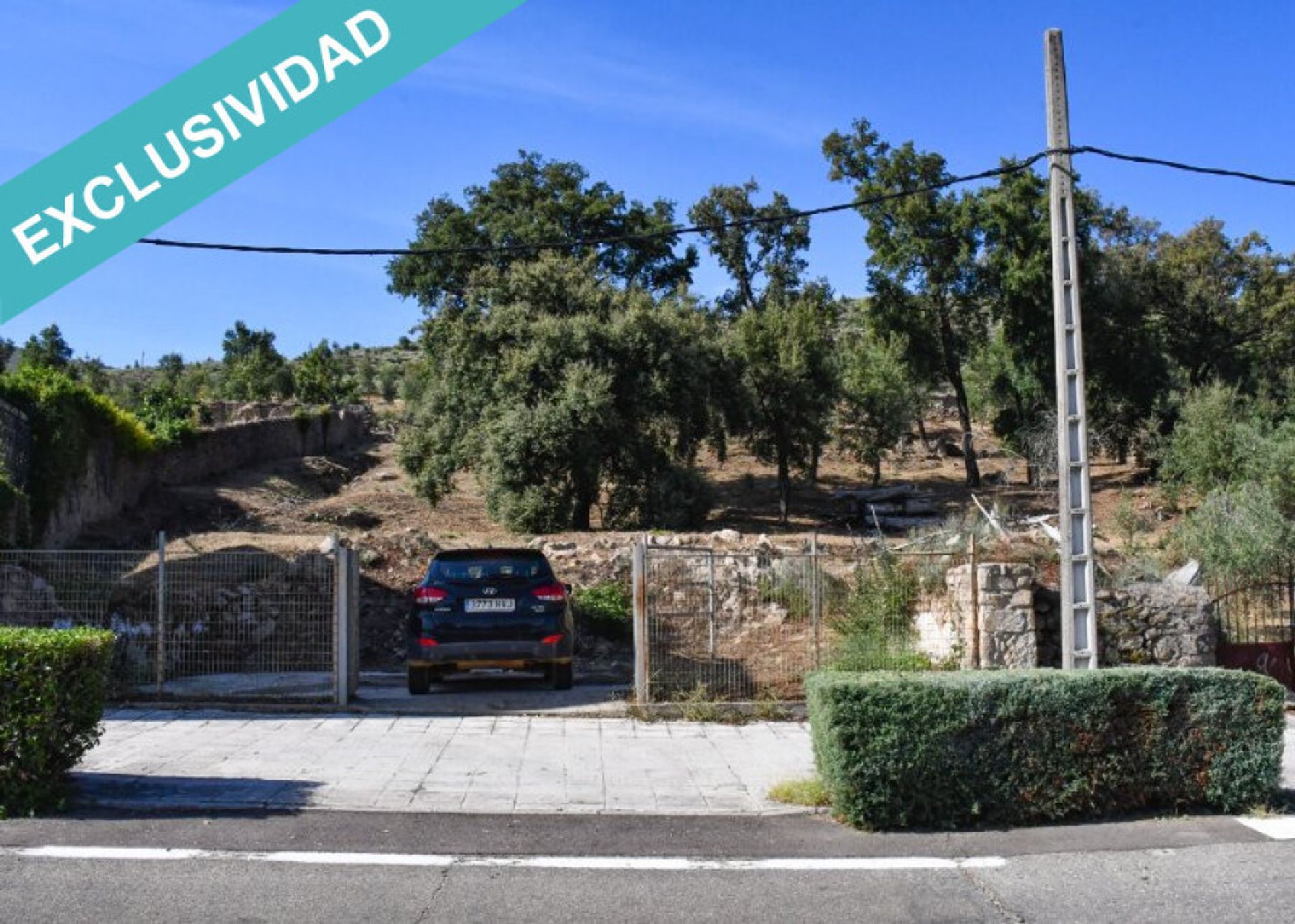 Jord i Hoyos, Extremadura 11514896