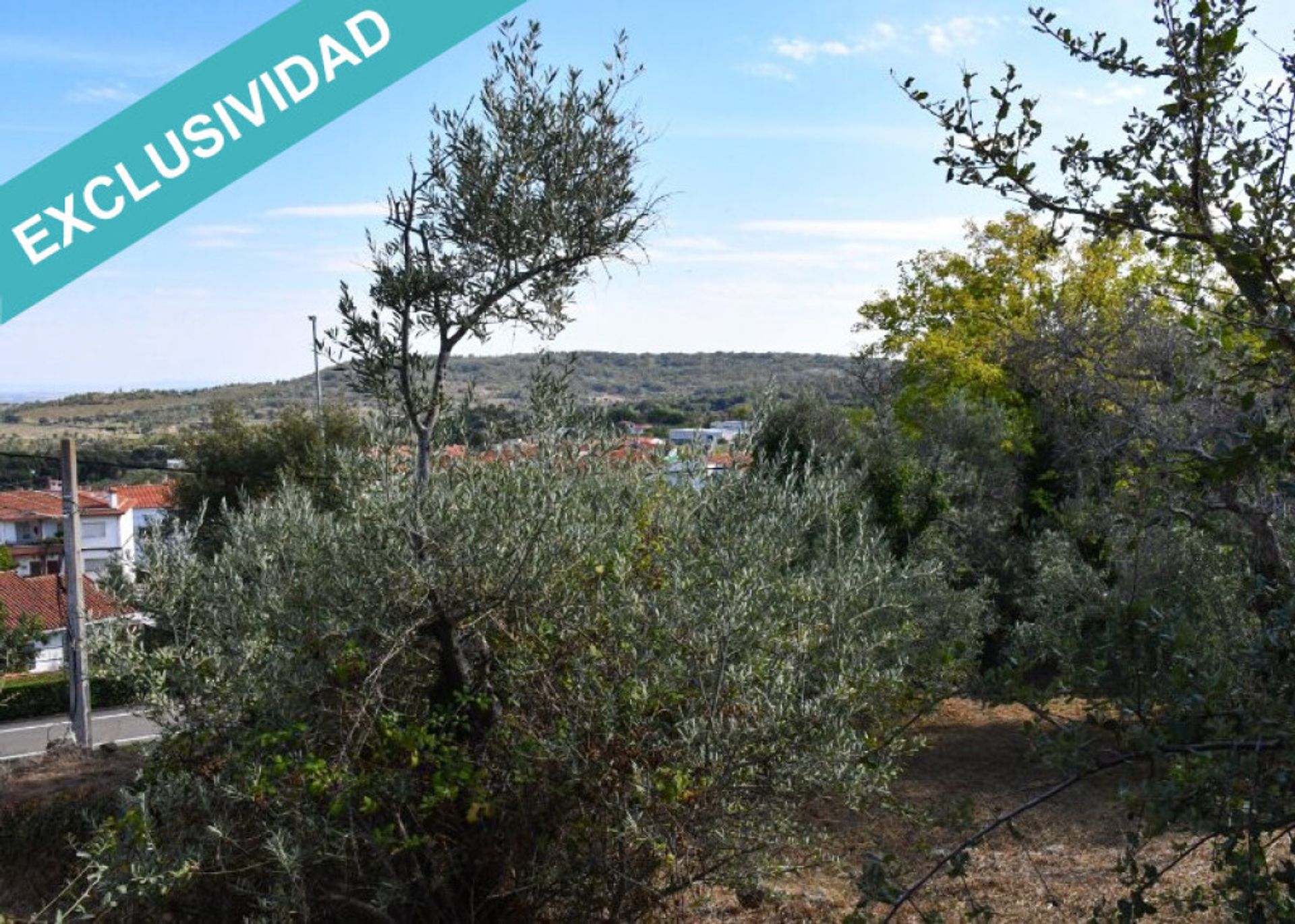 Land in Hoyos, Extremadura 11514896